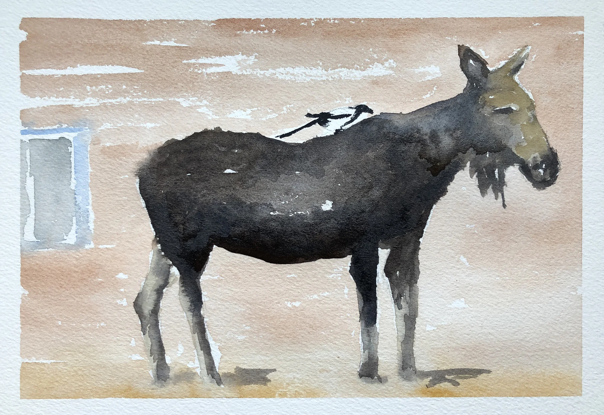 #384 - Moose in the Neighborhood