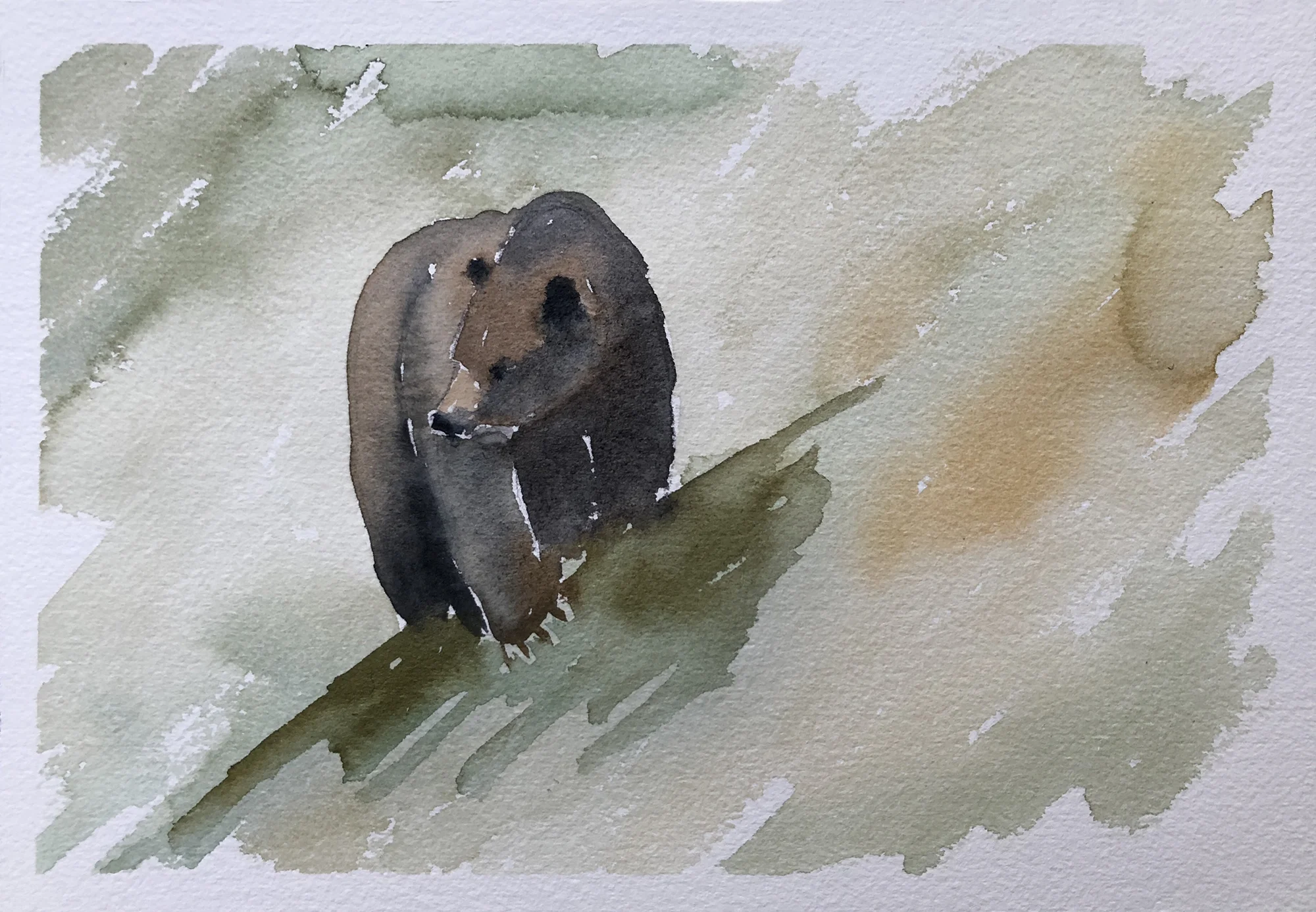 #390 - First Grizzly of the Season