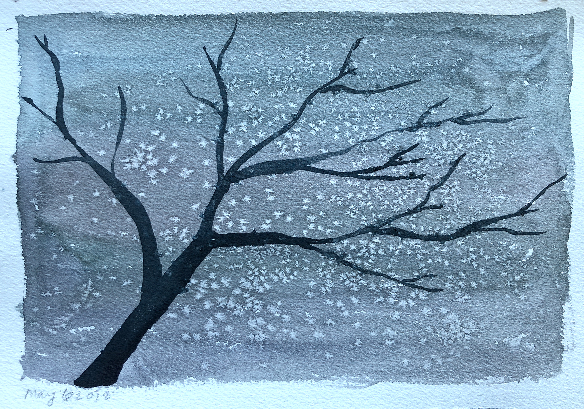 #406B - Stars Overhead