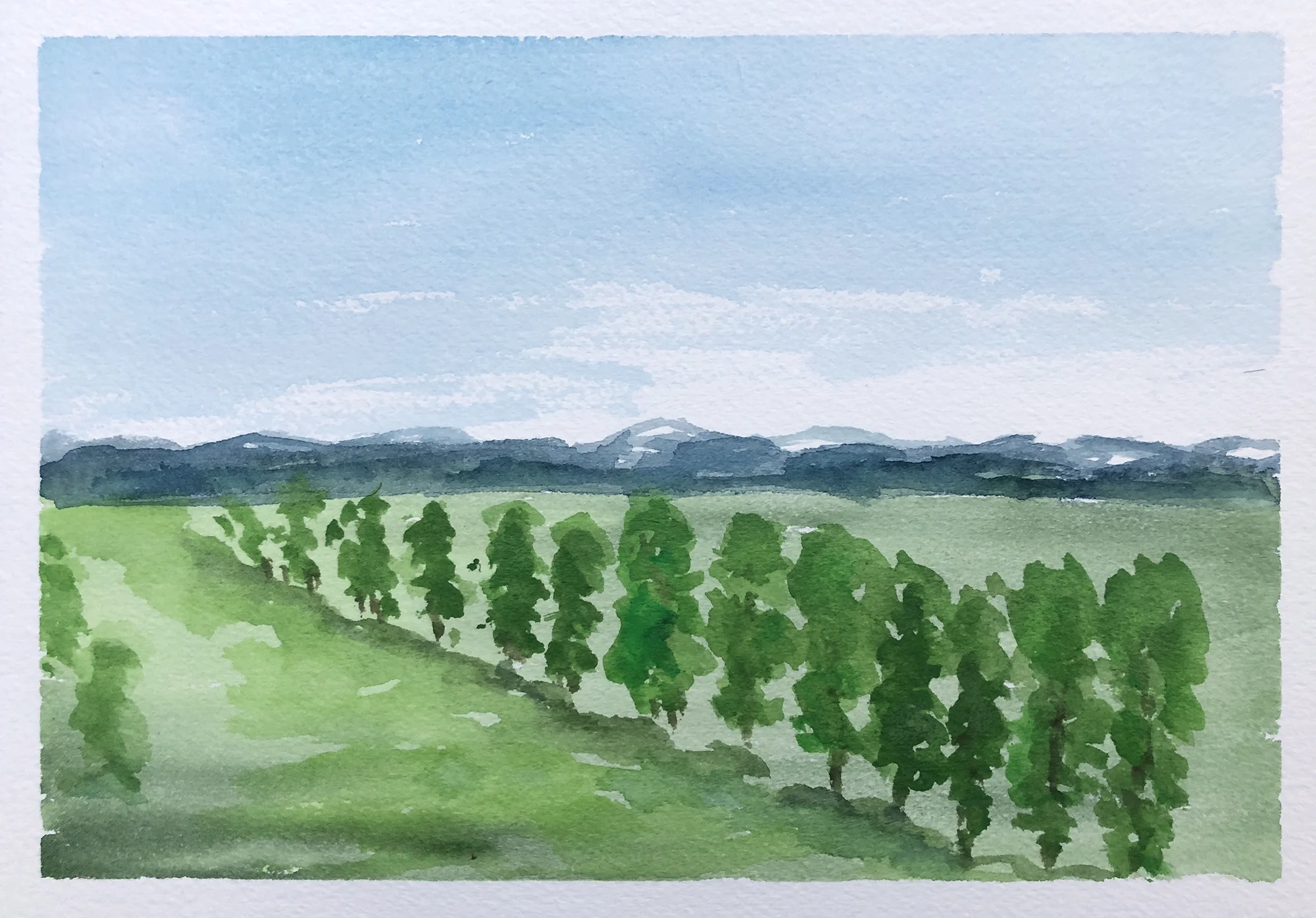 #418 - The Greens of Spring