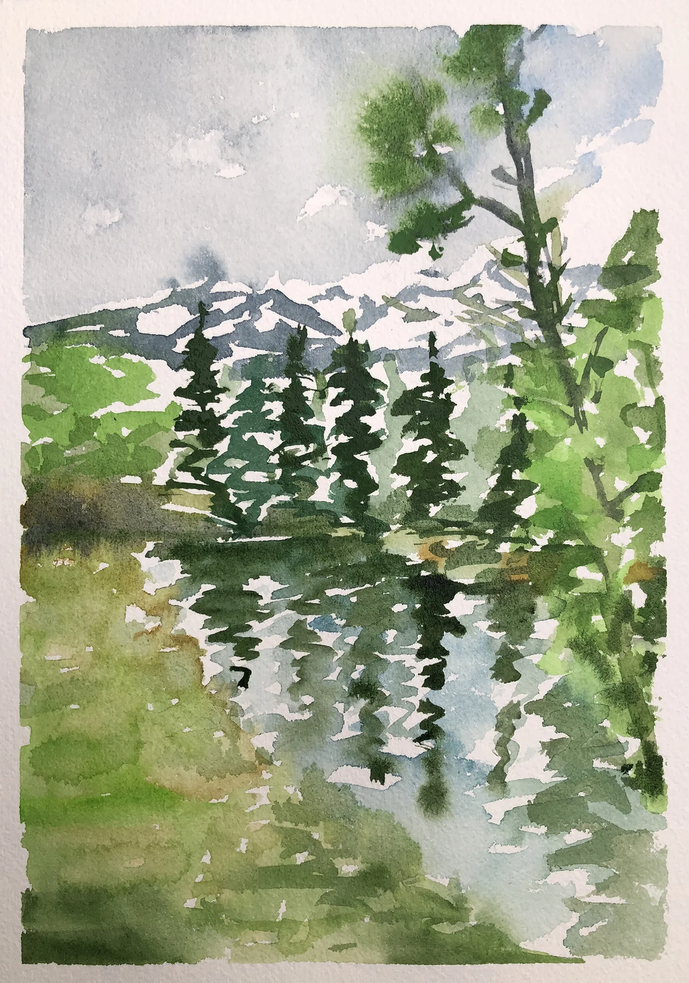 #422 - Along the Snake