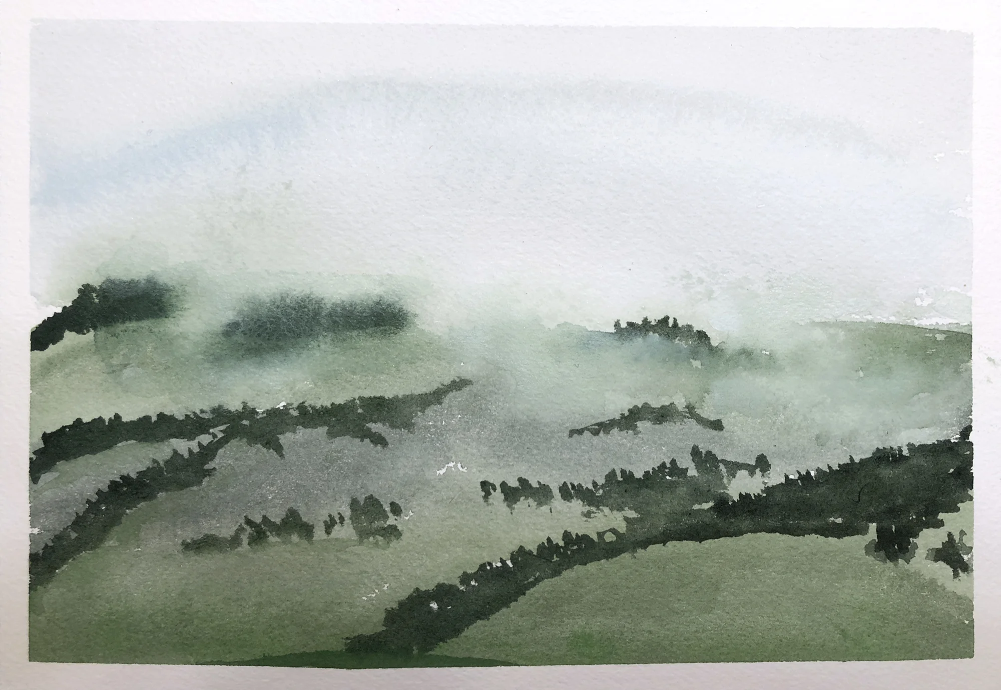 #423 - Blacktail Butte in the Rain