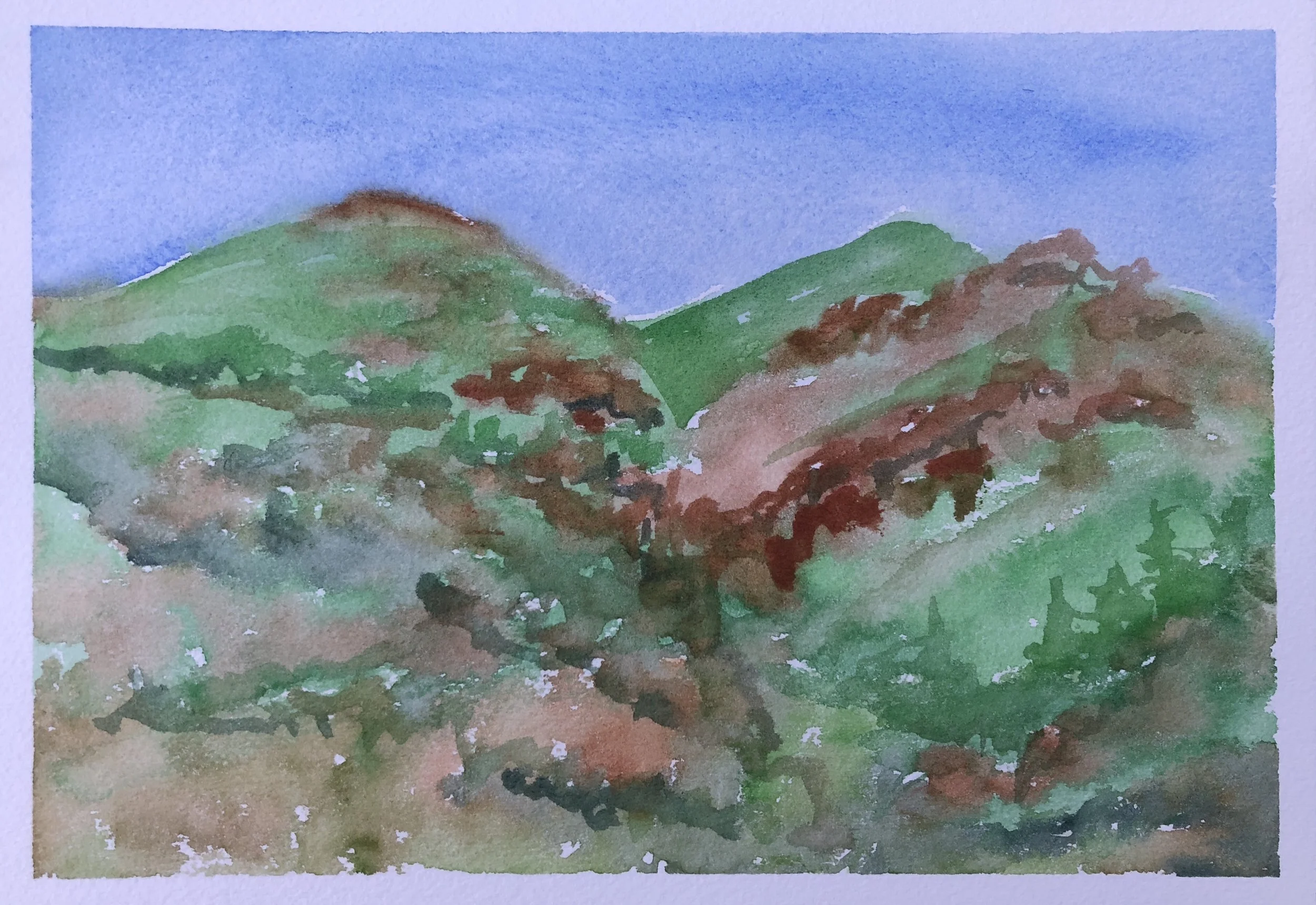 #429 - View from the Leader House