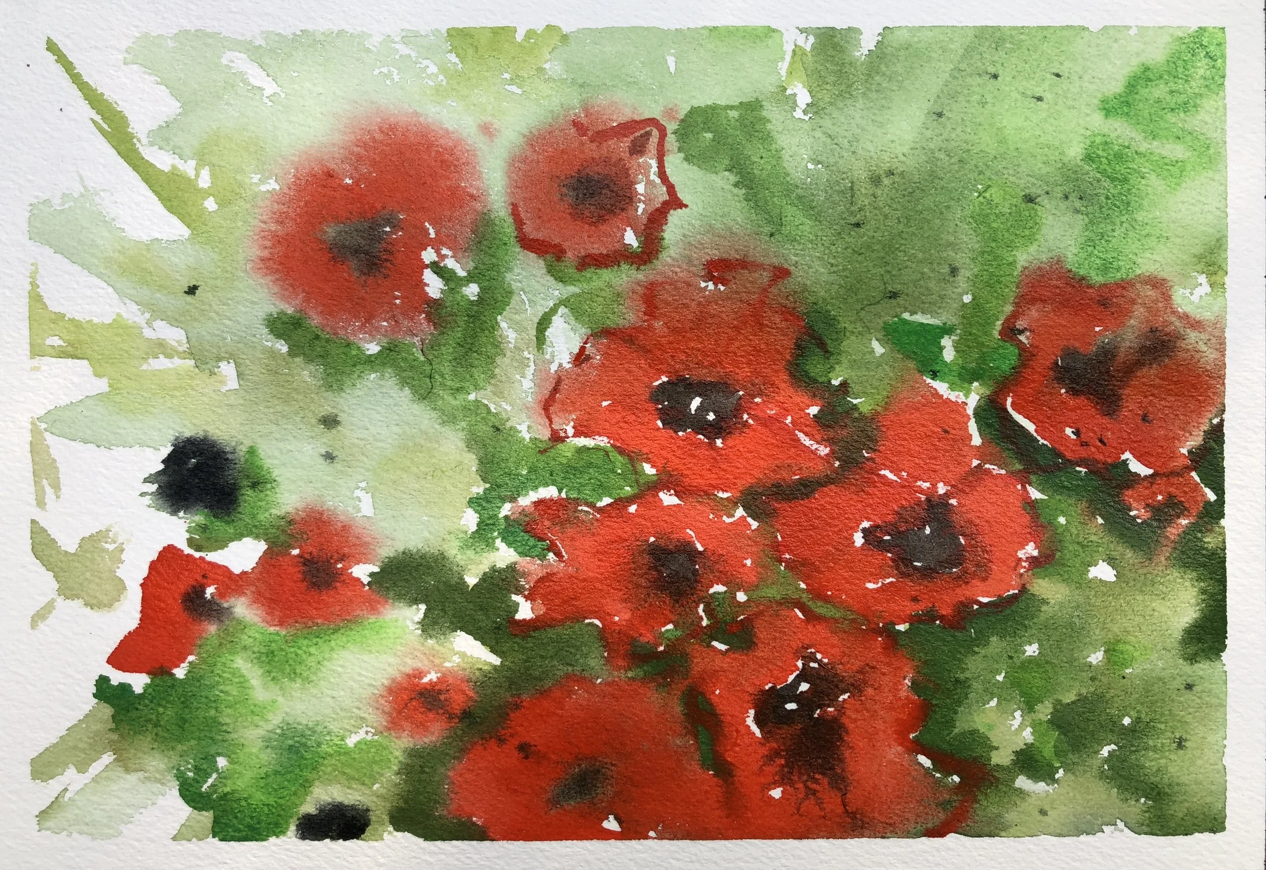 #439 - California Poppies