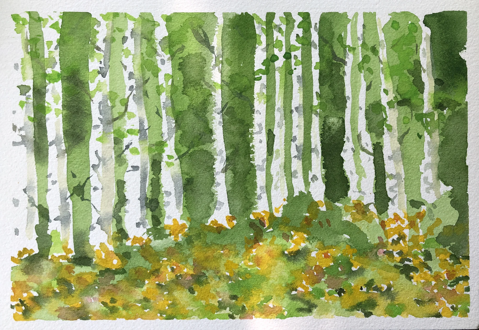 449_flowers and aspens.jpg