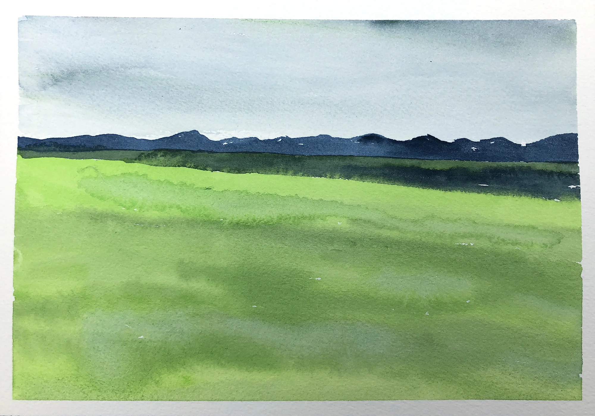 #453 - The Fields of Idaho