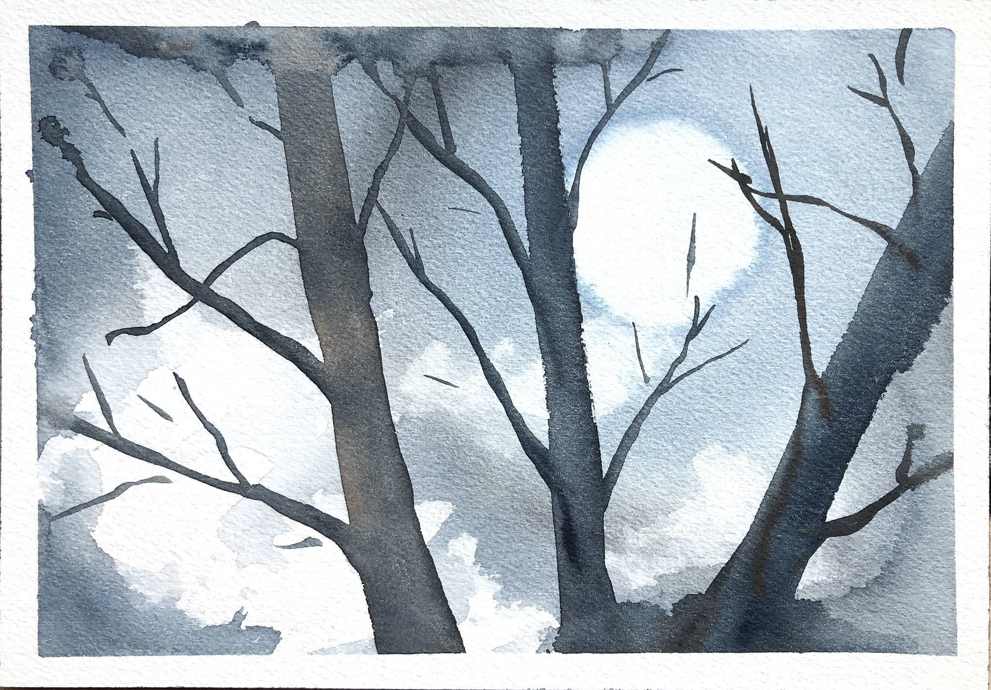 470_cold moon.jpg