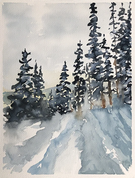 #479 - Light Through the Forest