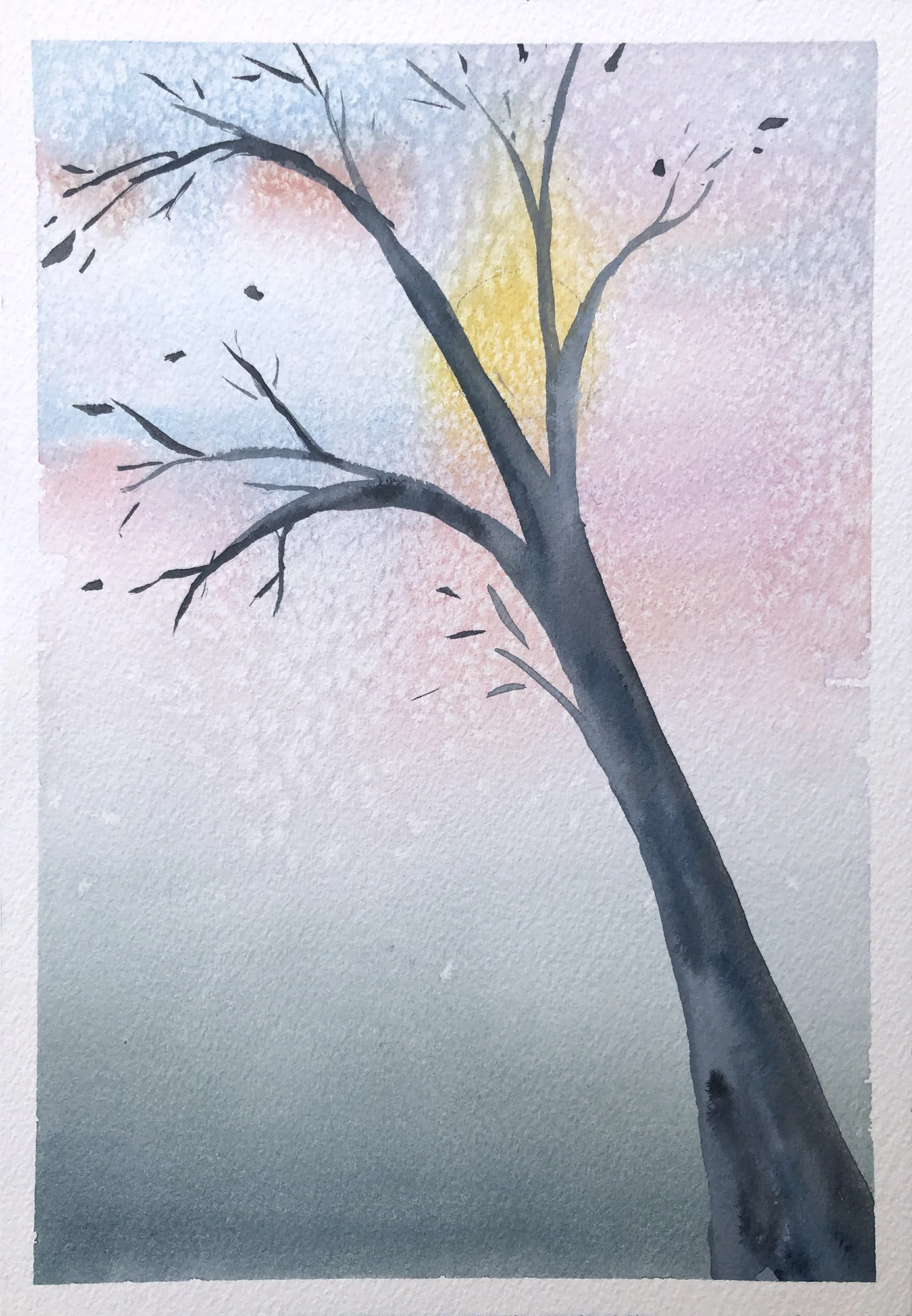 #469 - Winter Solstice