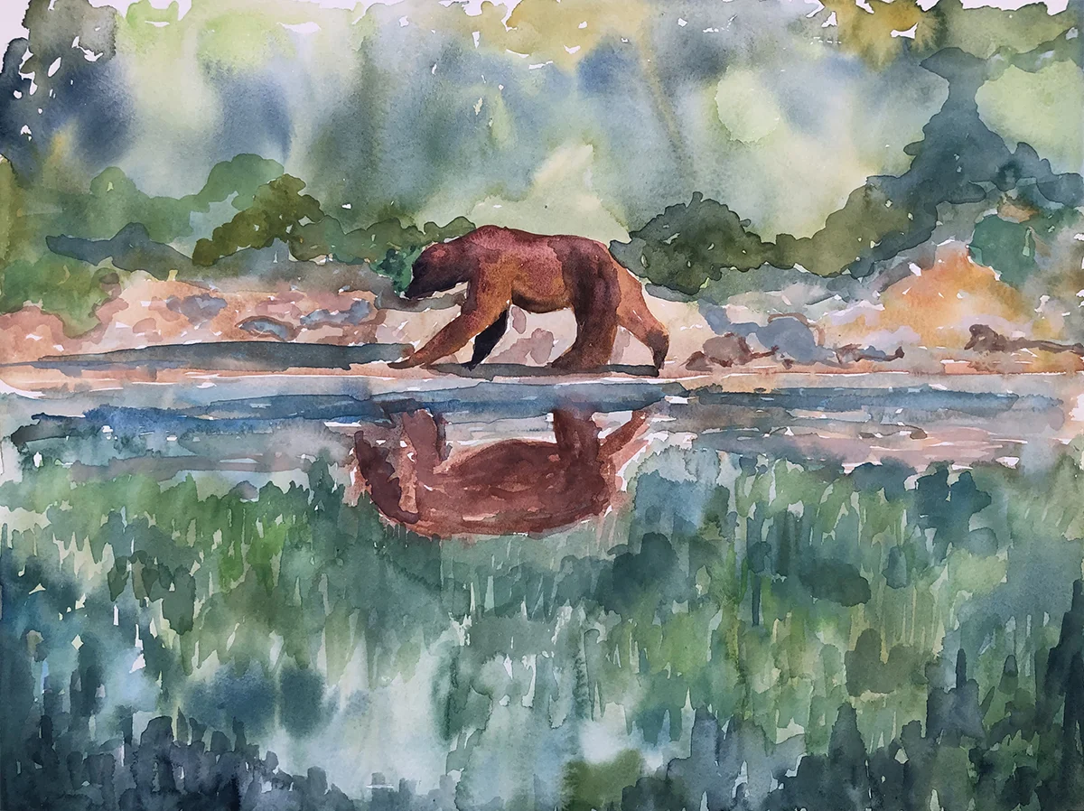 #498 - Brown Bear Walking the Shoreline