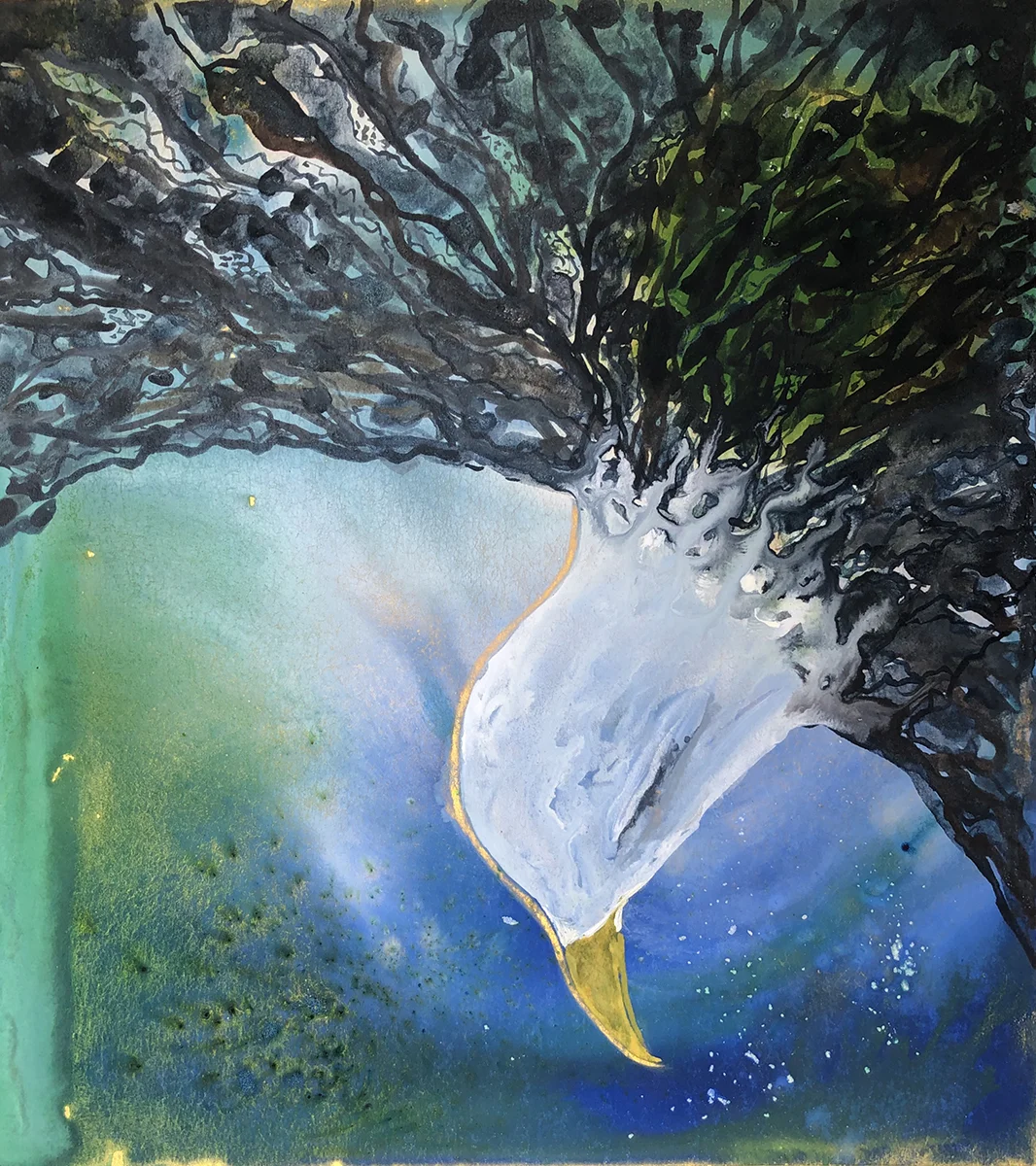 #499 - Bald Eagle Fishing