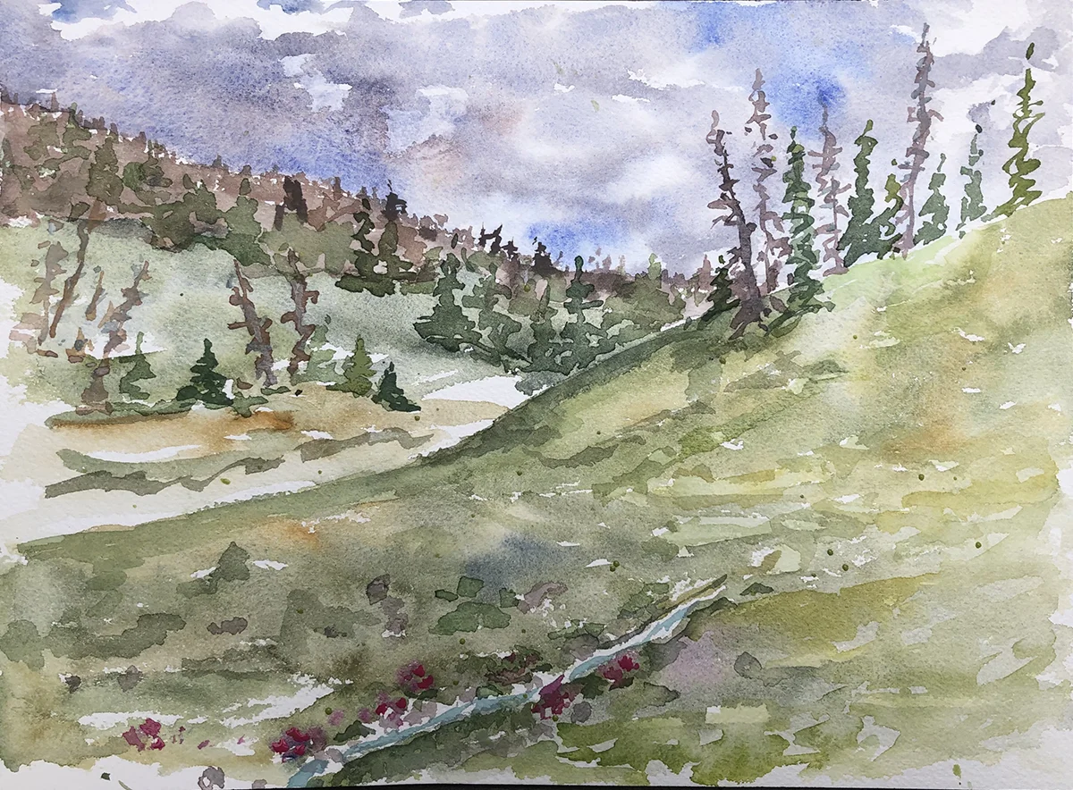 #500 - Togwotee Pass View