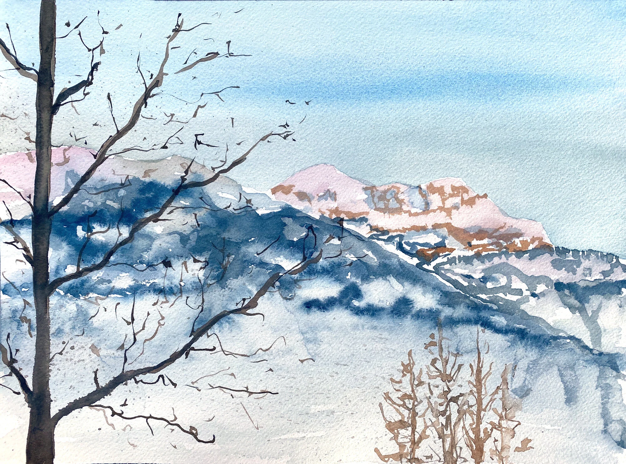 #503 - First Light on the Mountains