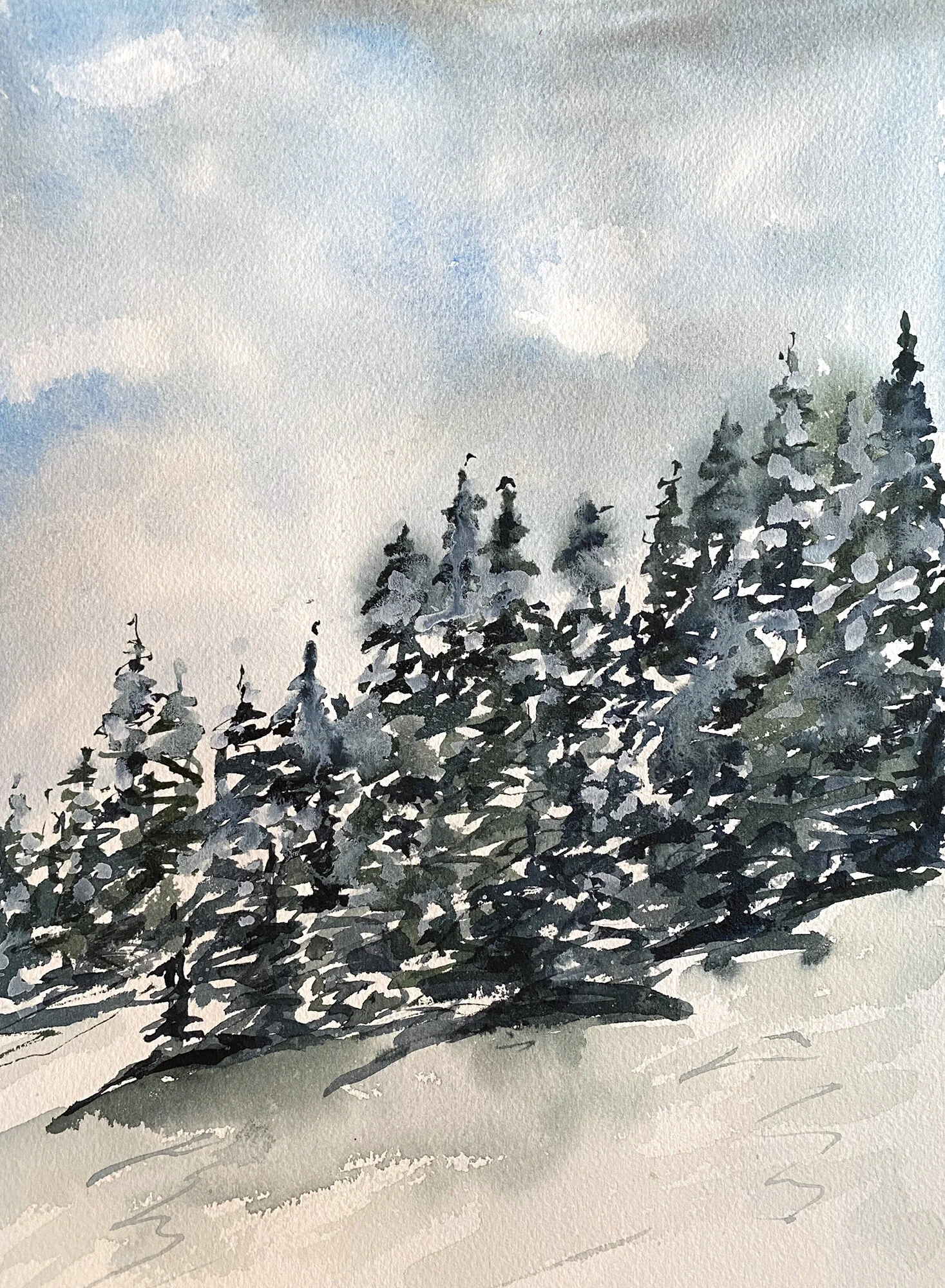 #504 - Trees in Snow