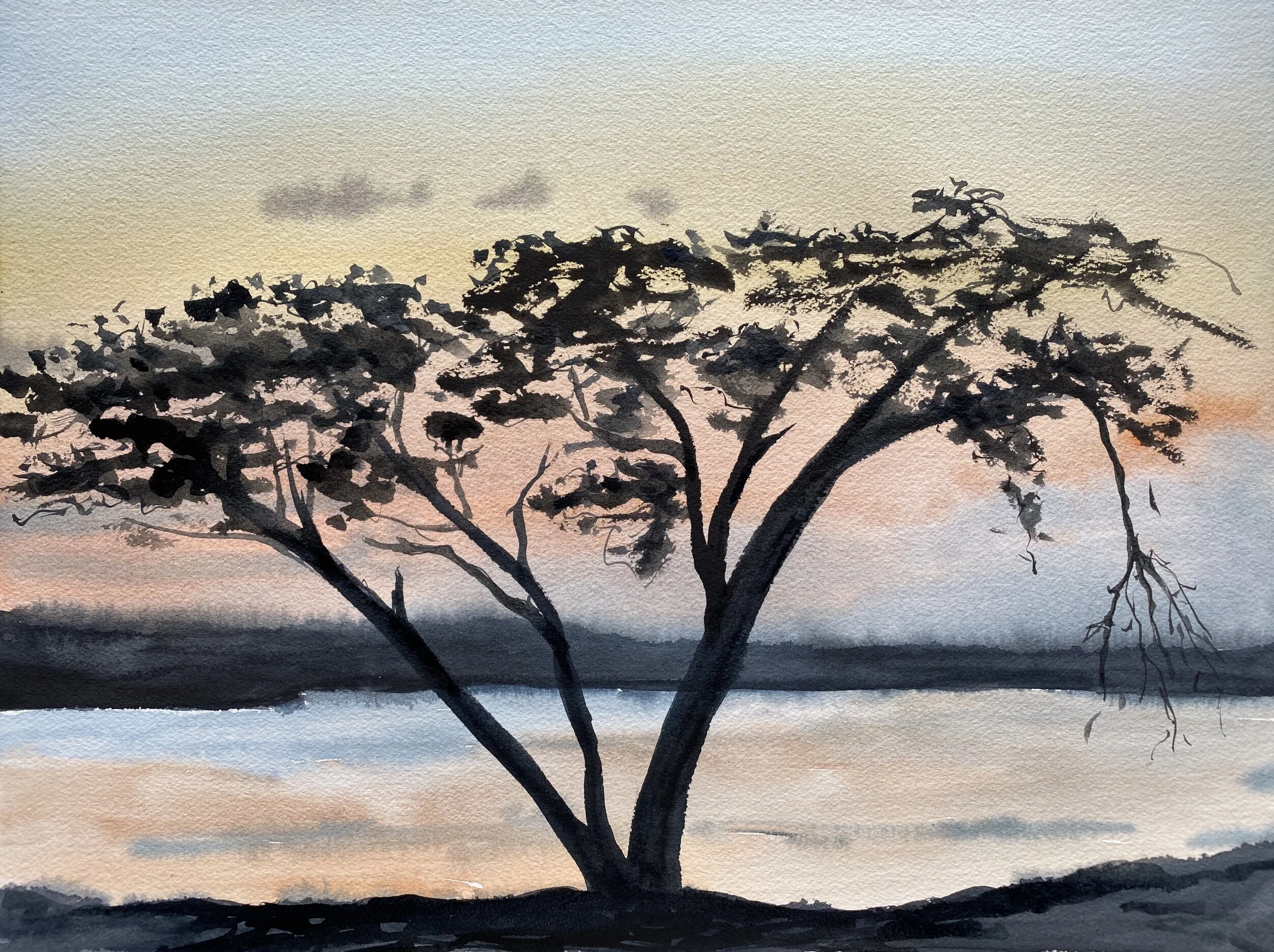 #510 - Acacia Sunrise - Lake Ndutu