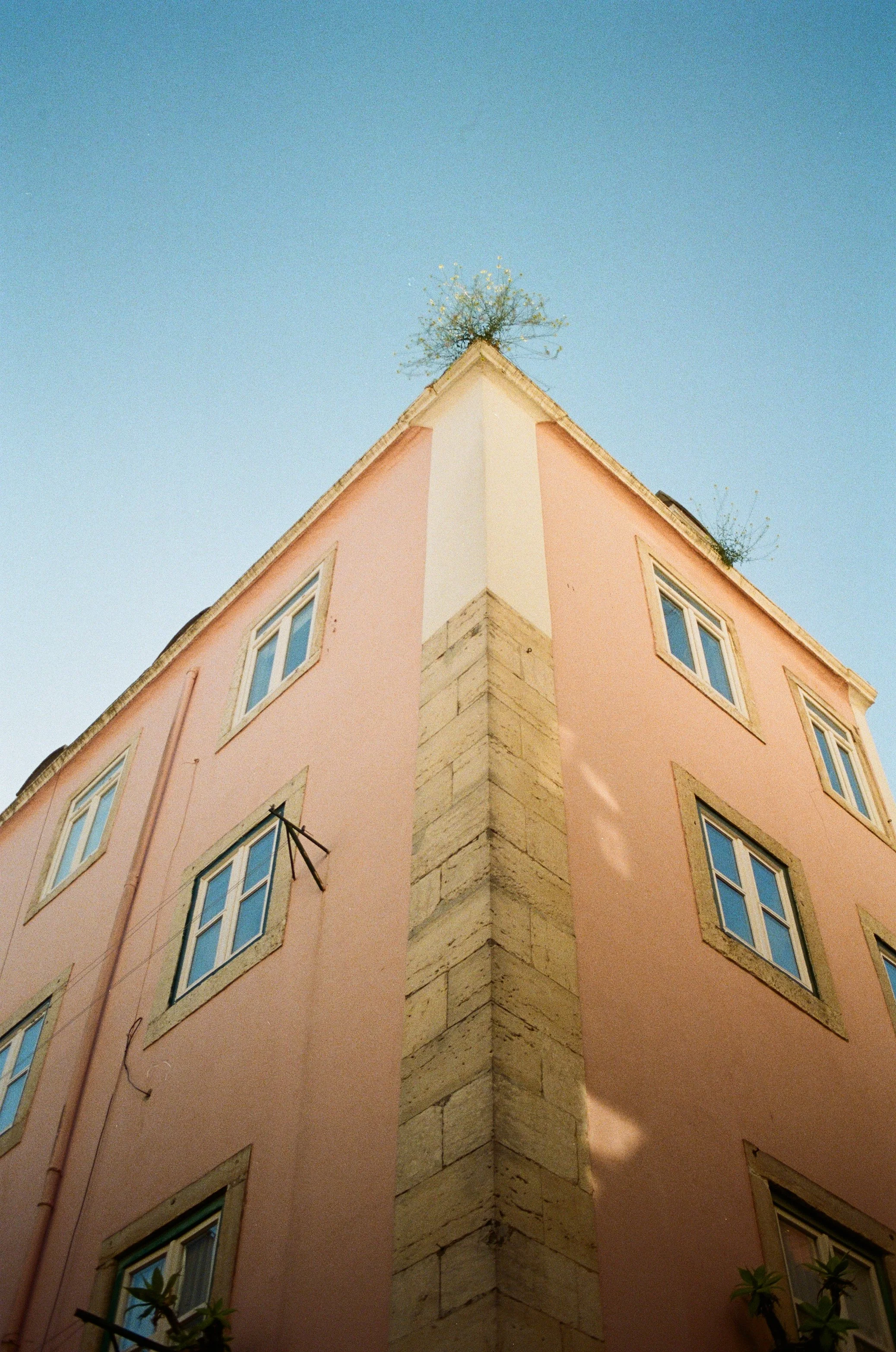 000034730007.jpg