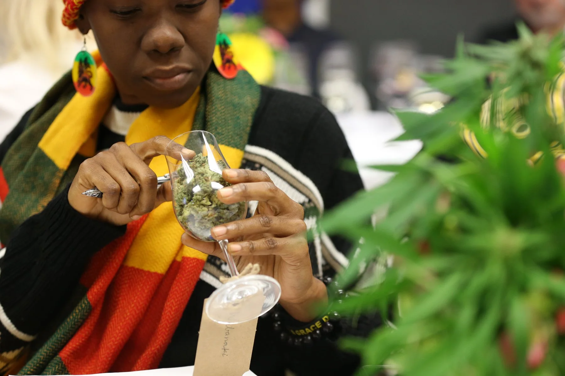 Hospitality Sessions: Jamaica's Cannabis Roots January 16th