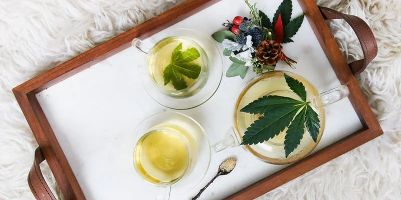 3M AND CANNTX CANNABIS DERIVATIVES CONFERENCE