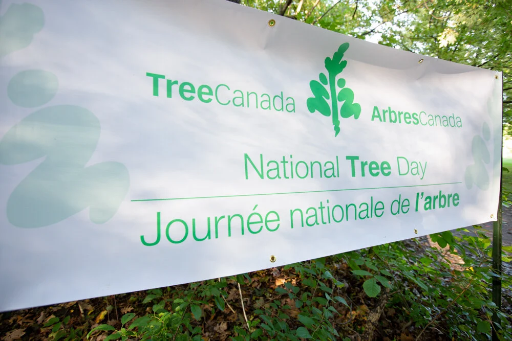 Plant a Tree with BRZY