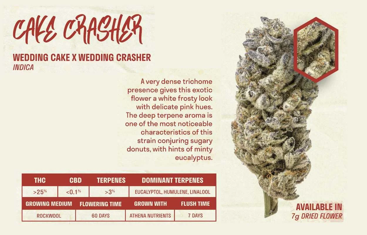 Cake Crasher Strain Card.jpg