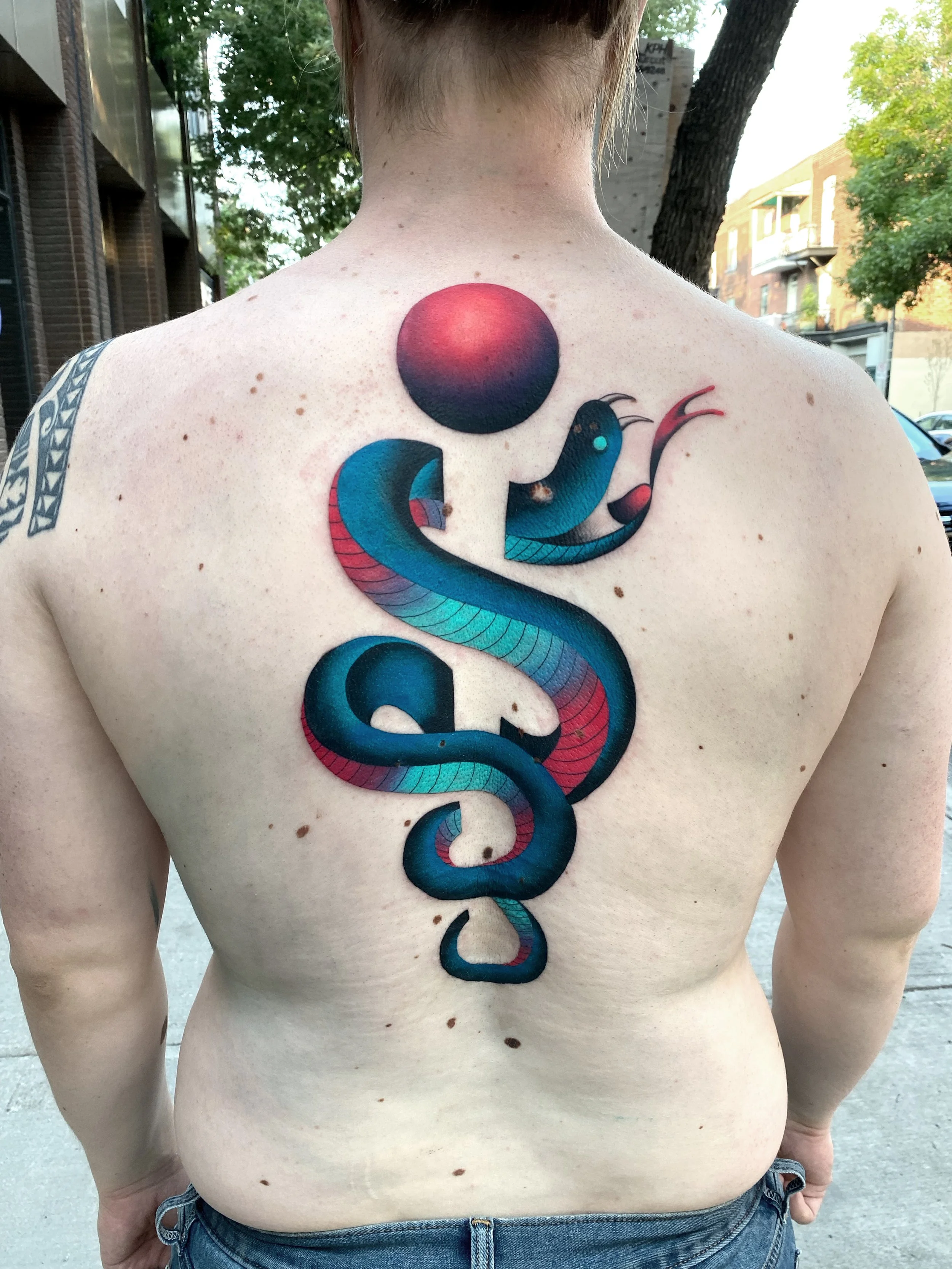 snake-rod.jpg