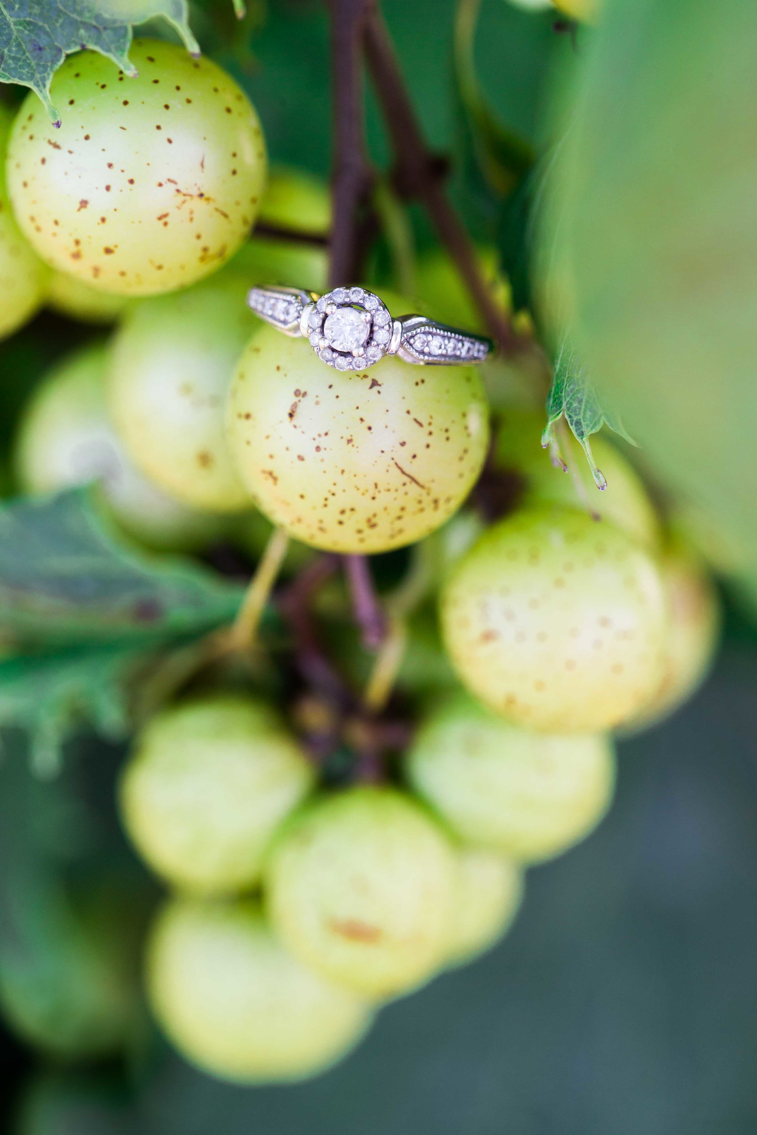 Myrtle beach engagement pictures ramona nicolae photography engagement photos-5.jpg