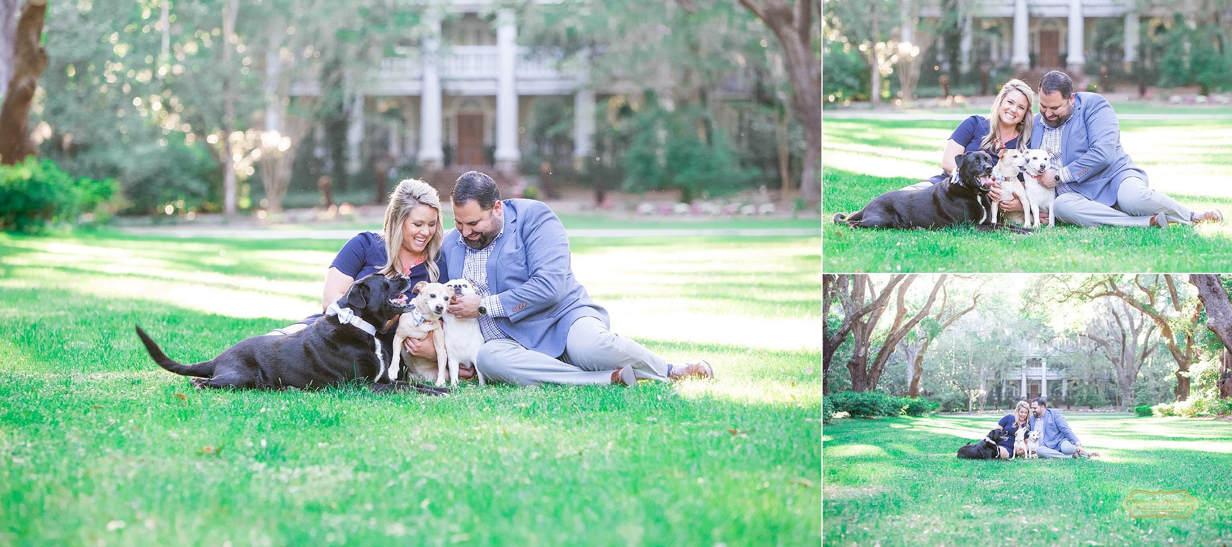 engagement pictures with dogs at watchesaw plantation .jpg