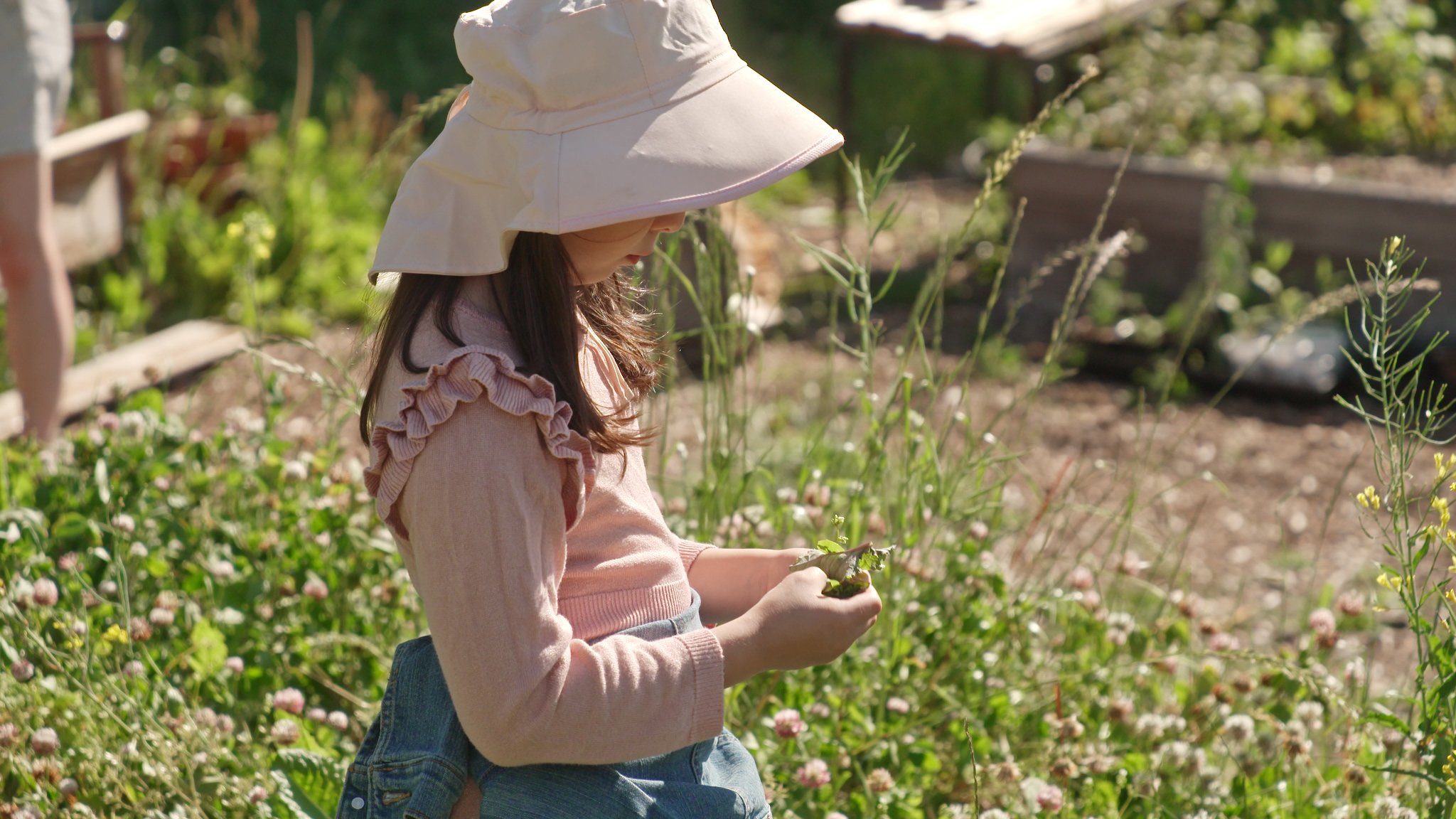 AG501a Gibsons Elementary 1.jpeg