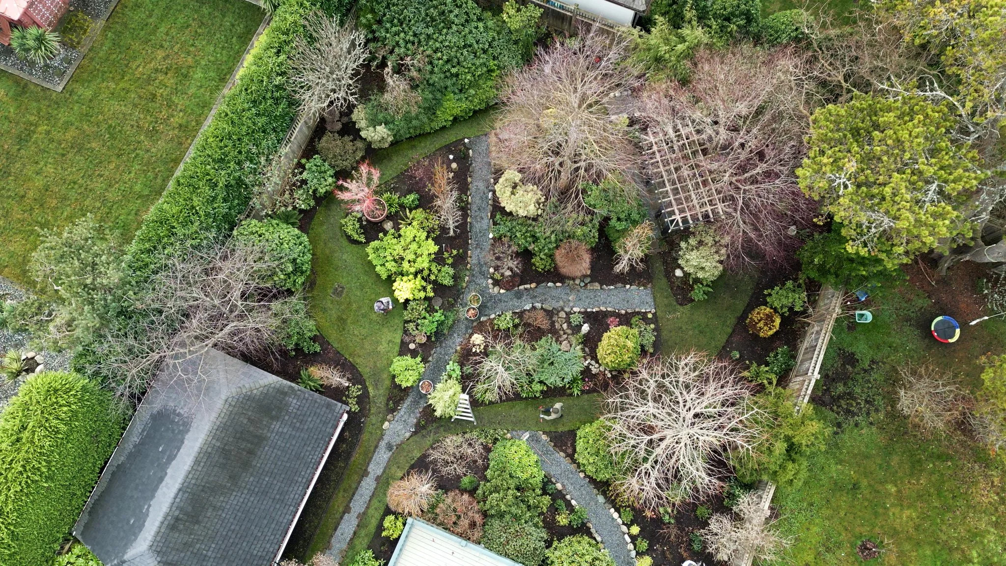 AG502b Steve and Paul Murphy 2.jpeg