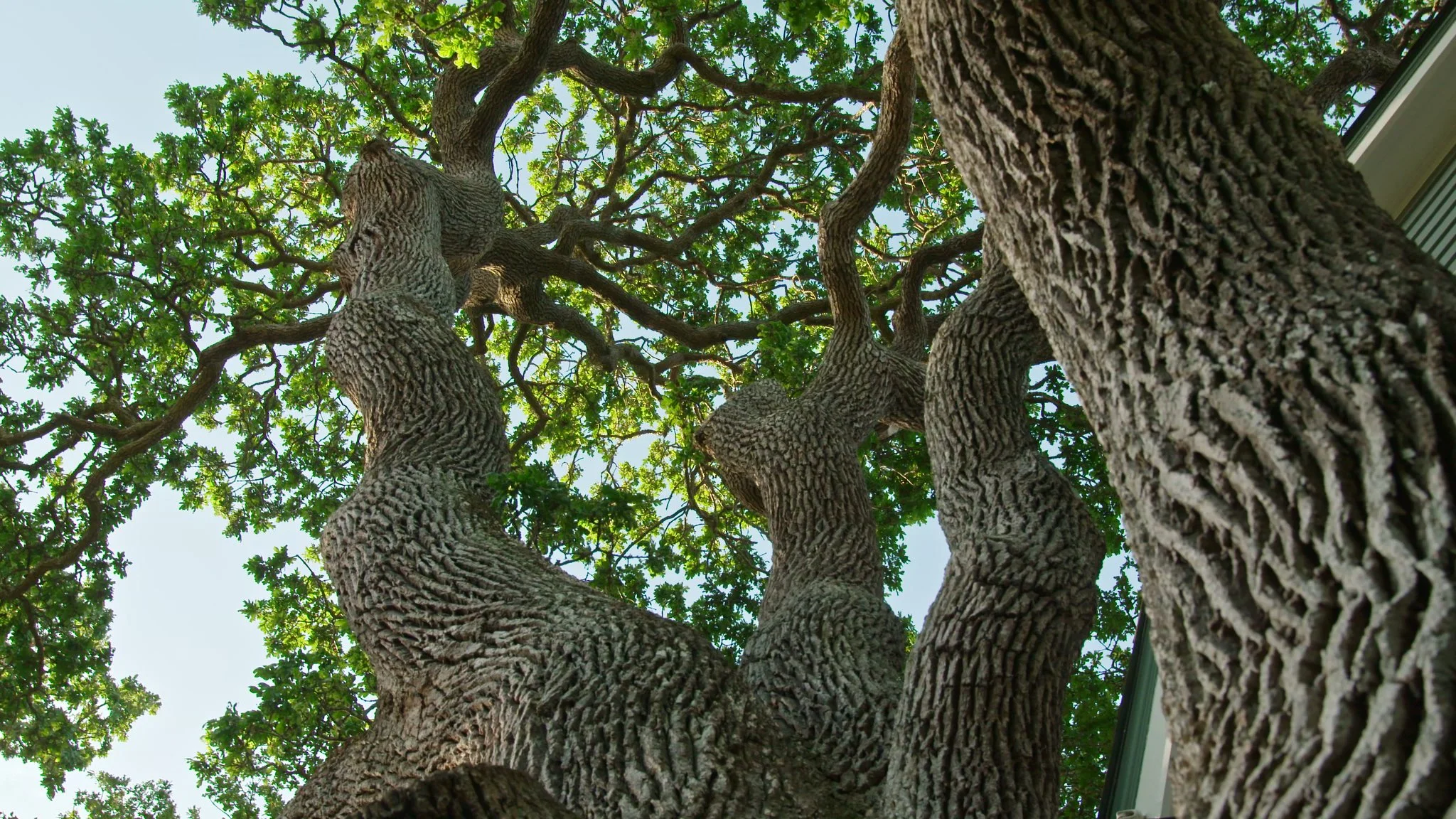 AG502b Steve Murphy 6.jpeg