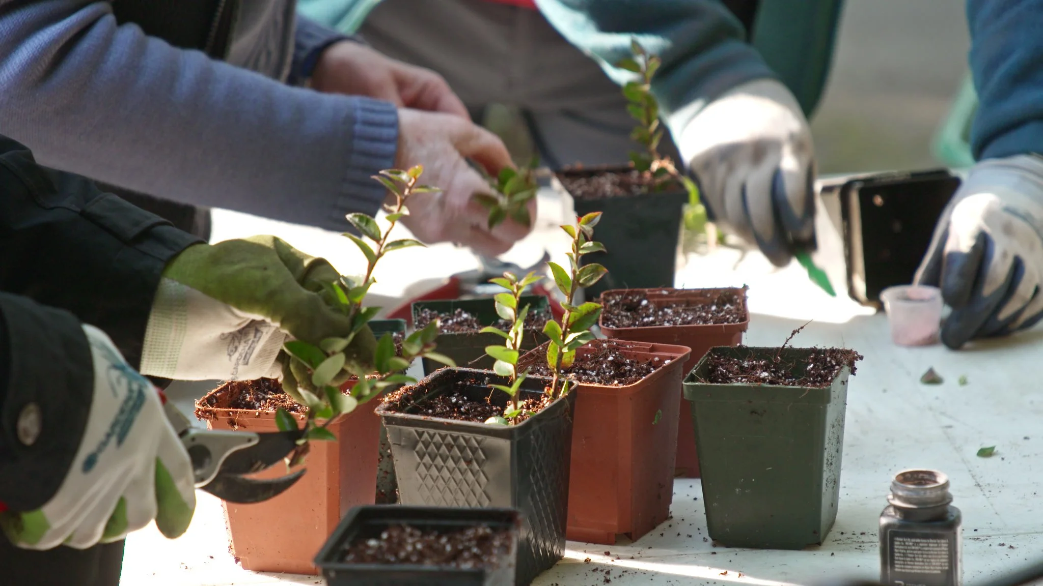 AG503b Milner Gardens 3.jpeg