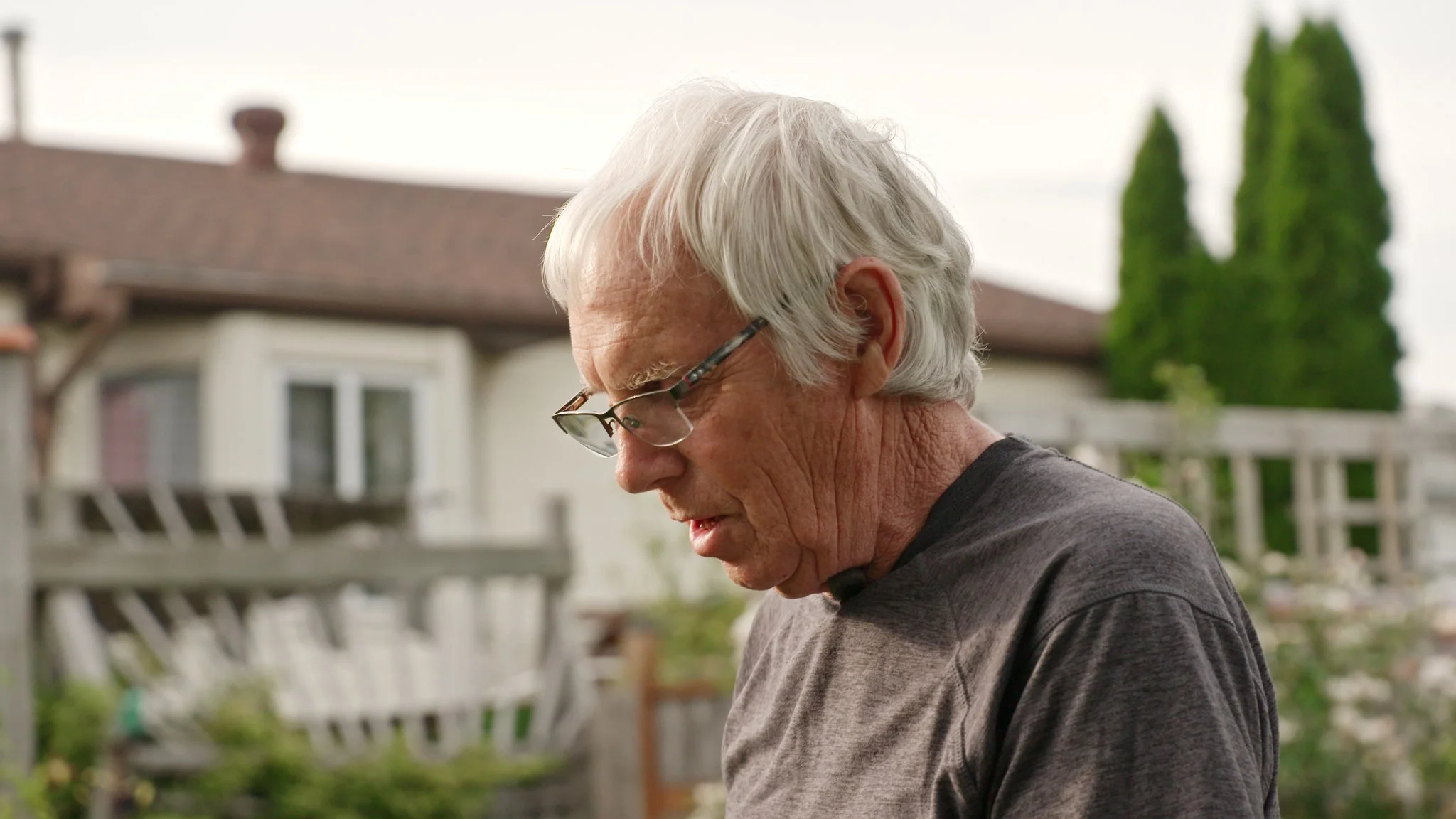 AG503c David Hobson 1.jpeg