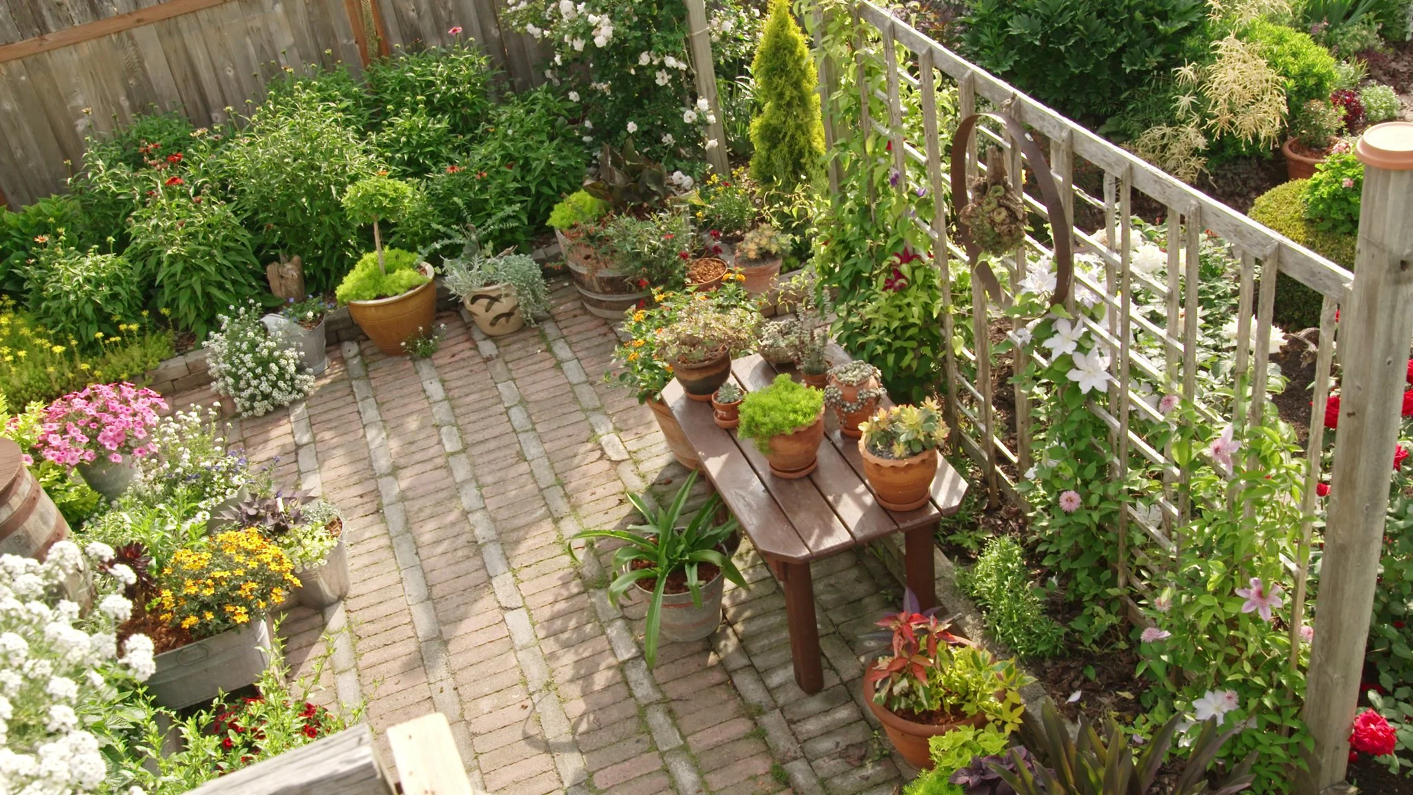 AG503c David Hobson 12.jpeg