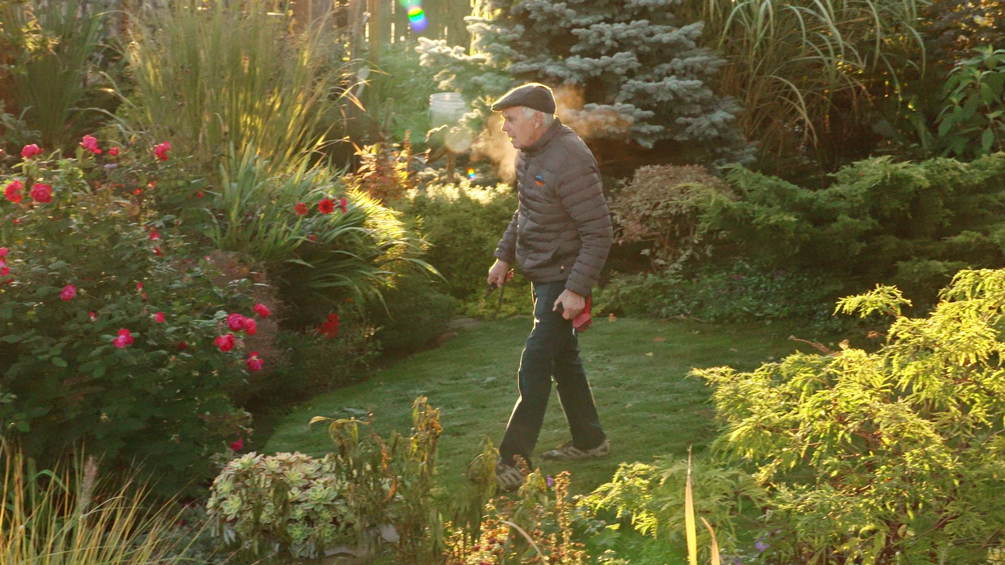 AG503c David Hobson 14.jpeg