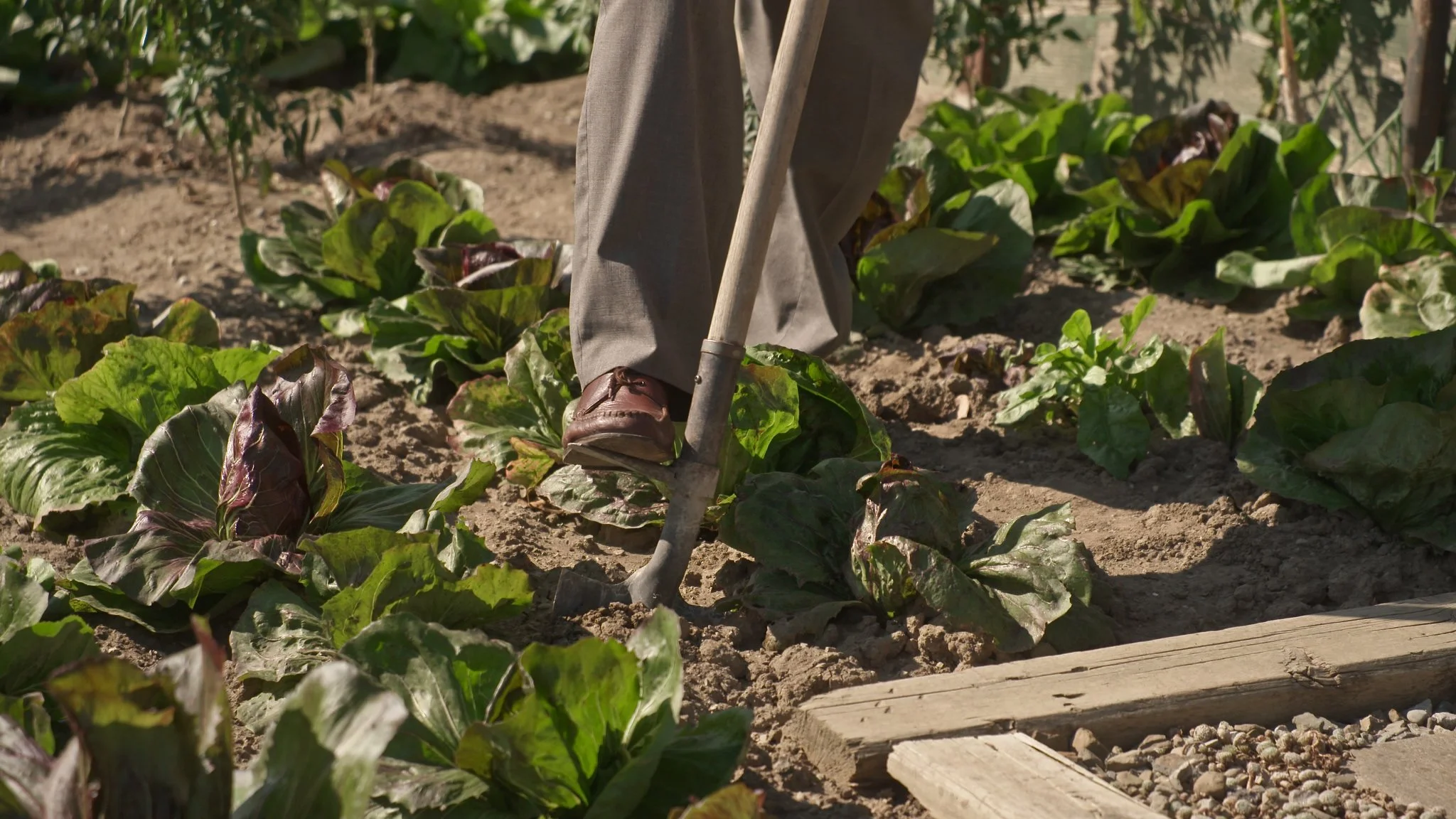 AG504a Maria and Carlo 7.jpeg