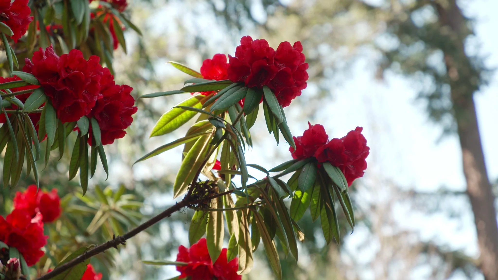 AG504c Chris Southwick 4.jpeg