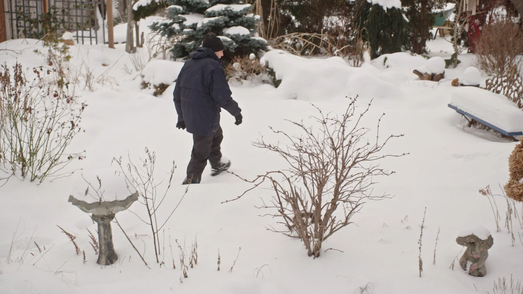 Watch a Clip from Episode #503: "Gardening for All Seasons"