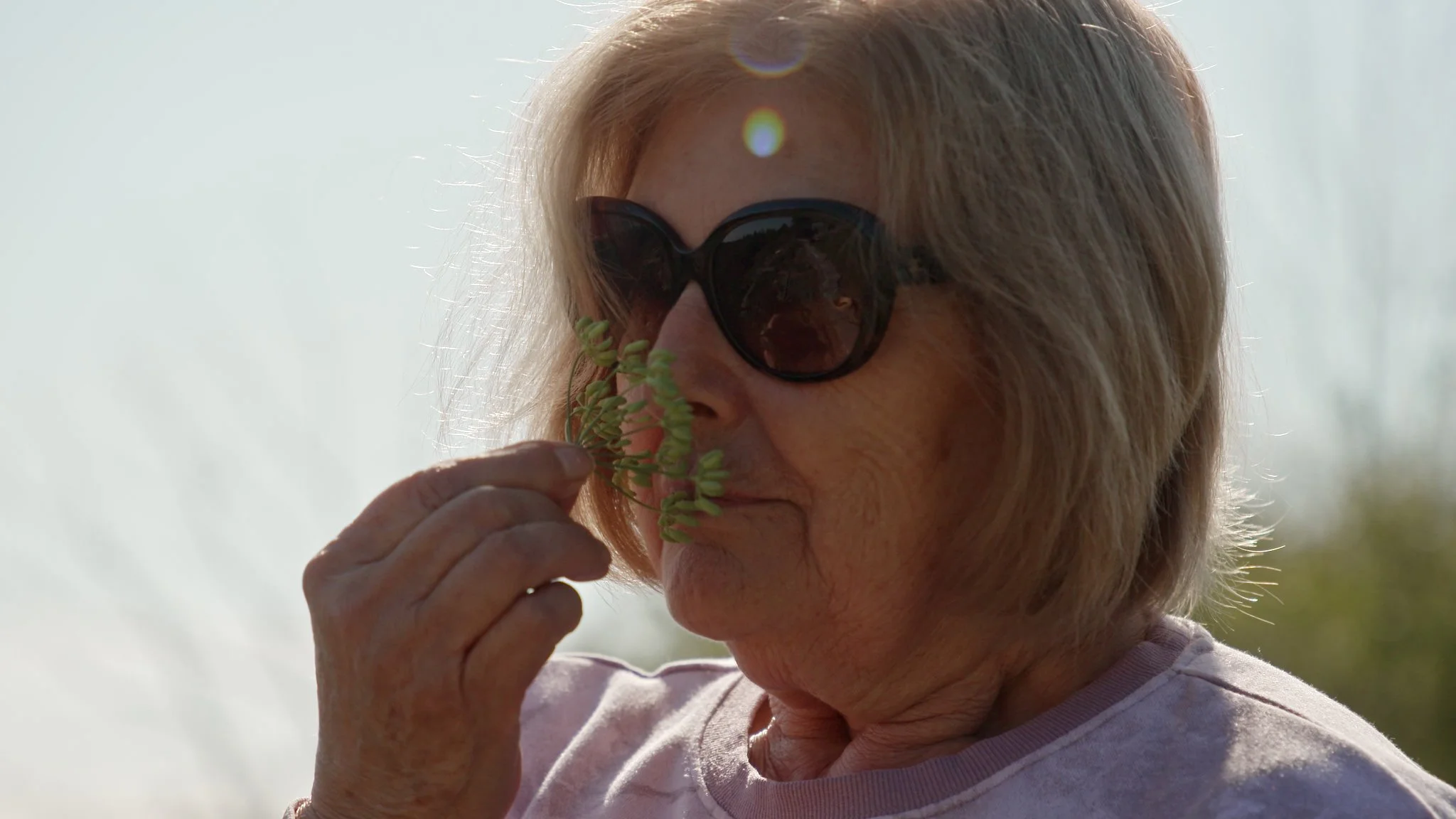 WATCH A CLIP FROM EPISODE #504 "GARDENING HERITAGE"