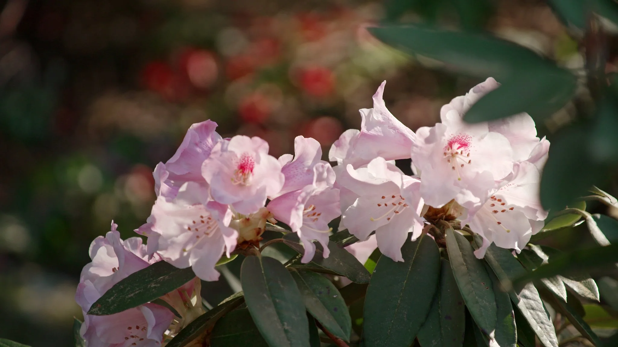 AG504c Chris Southwick 1.jpeg