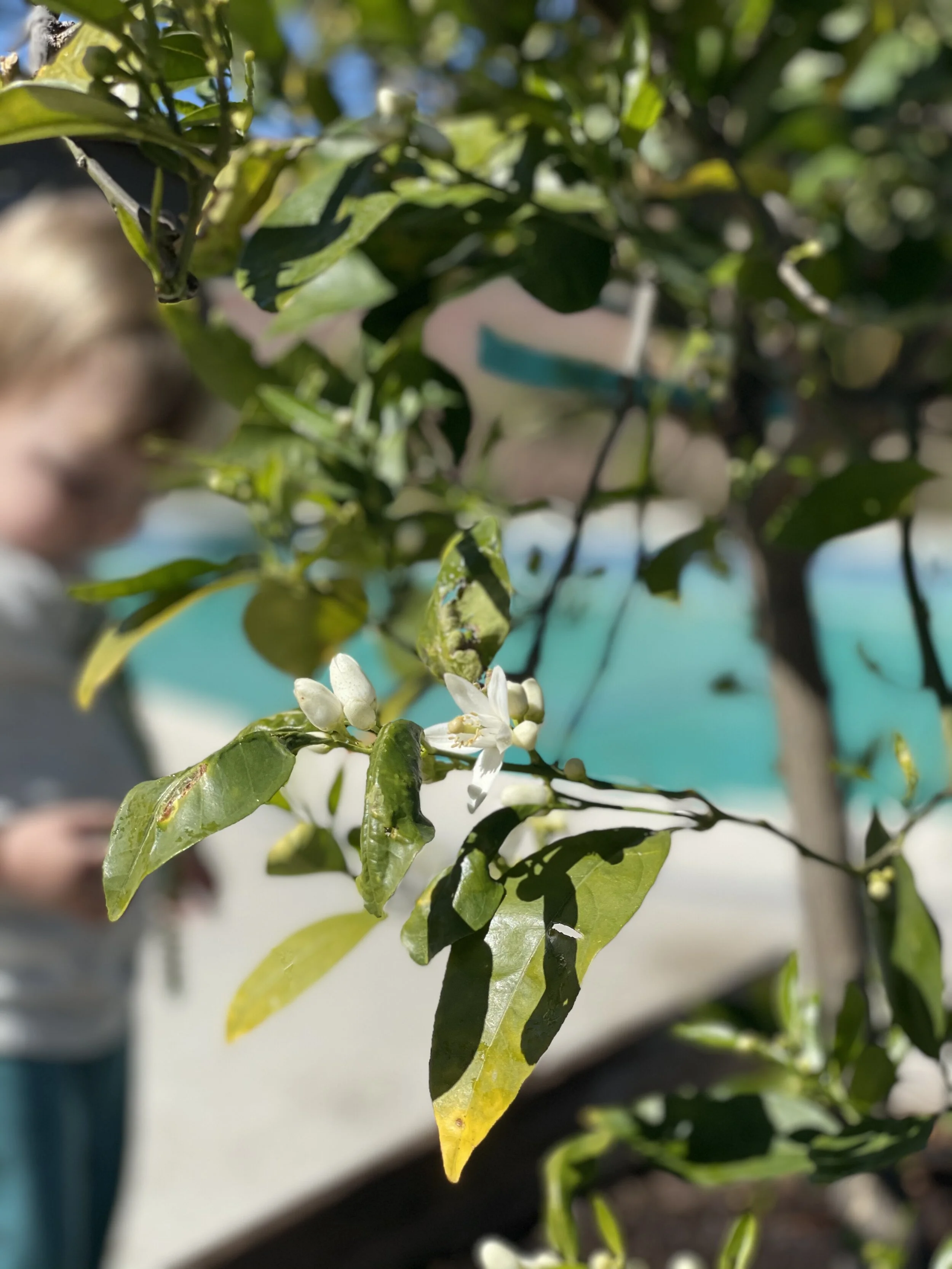 Monday Morning Roundup