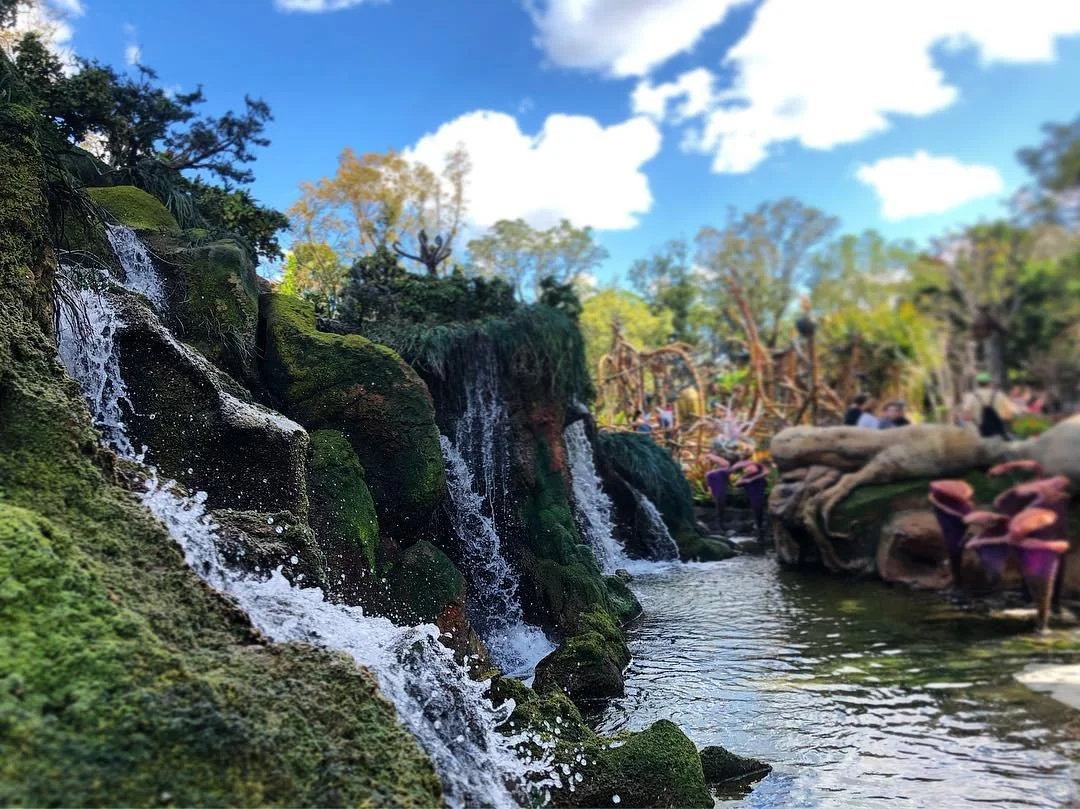 Spent my President&rsquo;s Day weekend at my home away from home- #WaltDisneyWorld ✨ Totally in awe of the beautiful landscapes the Imagineers created in Pandora- has anyone else explored this new land in #AnimalKingdom ?! Not only is it pretty, but 