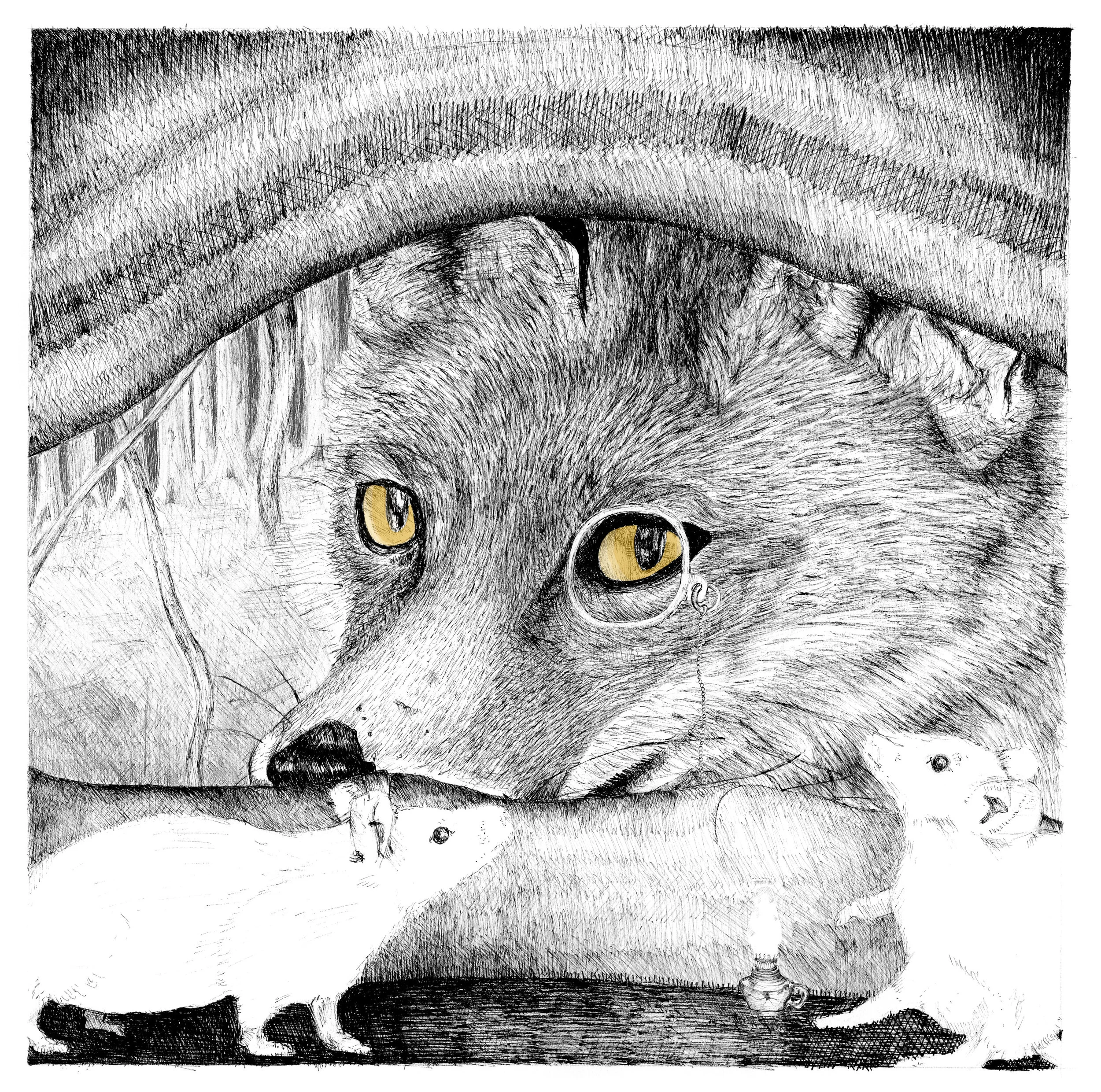 fox image in black and white.jpg