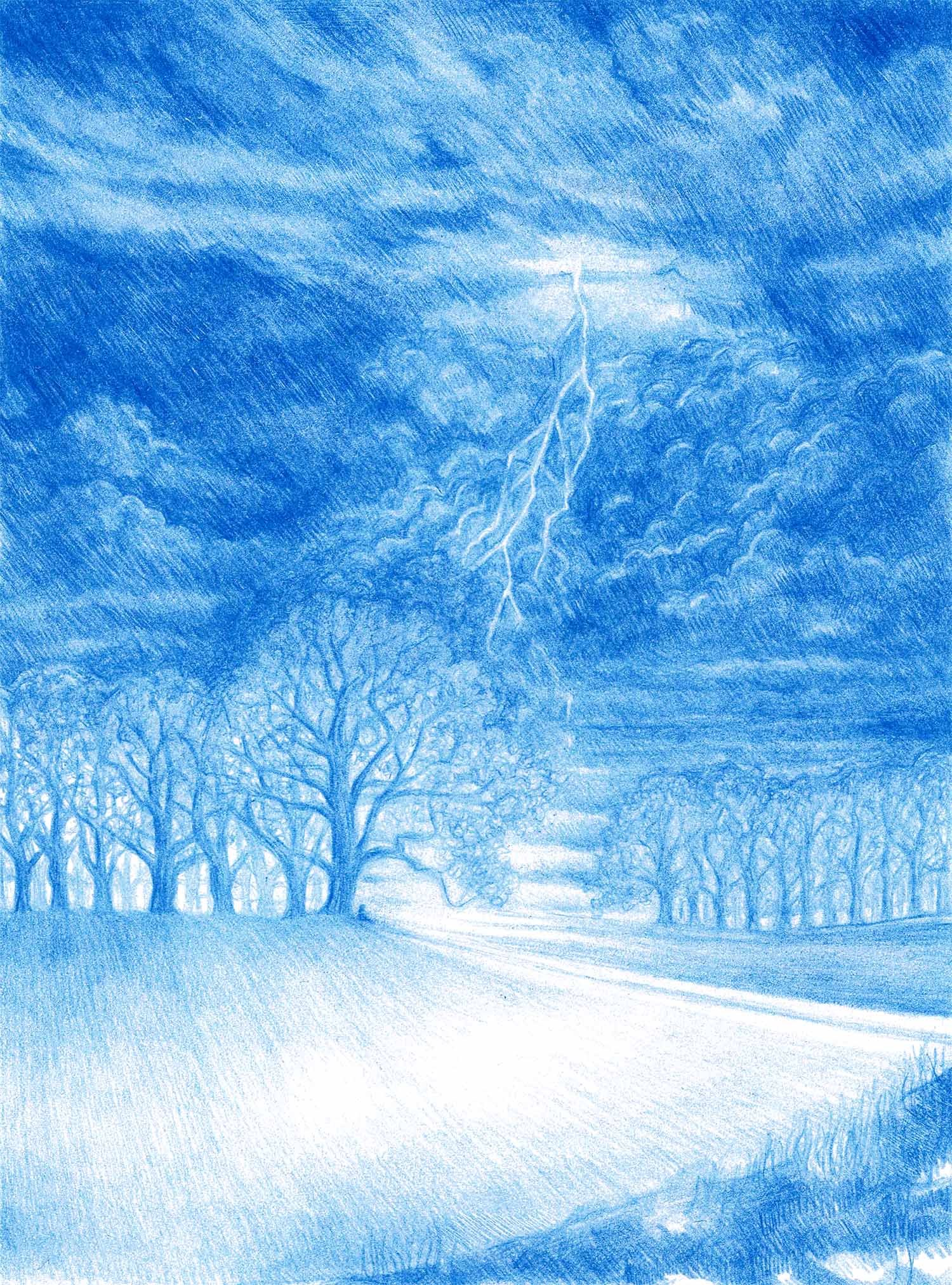 Conversing with a Tree