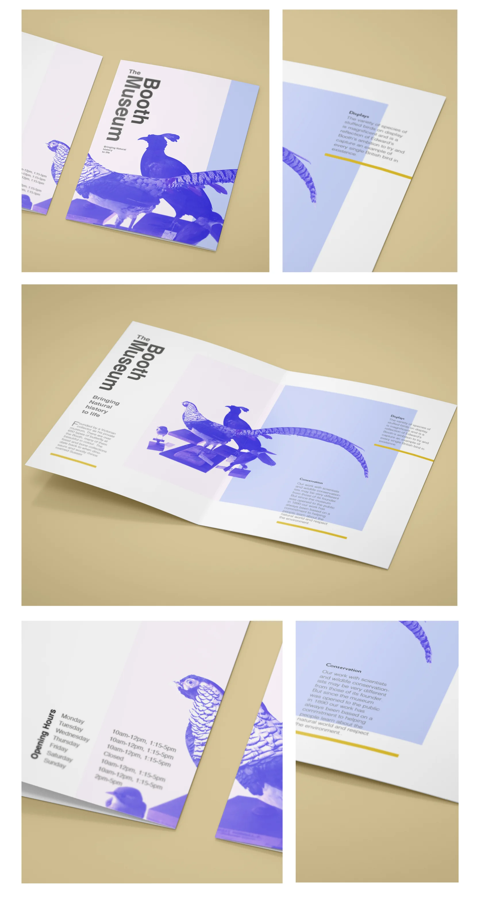 Booth layouts2.jpg