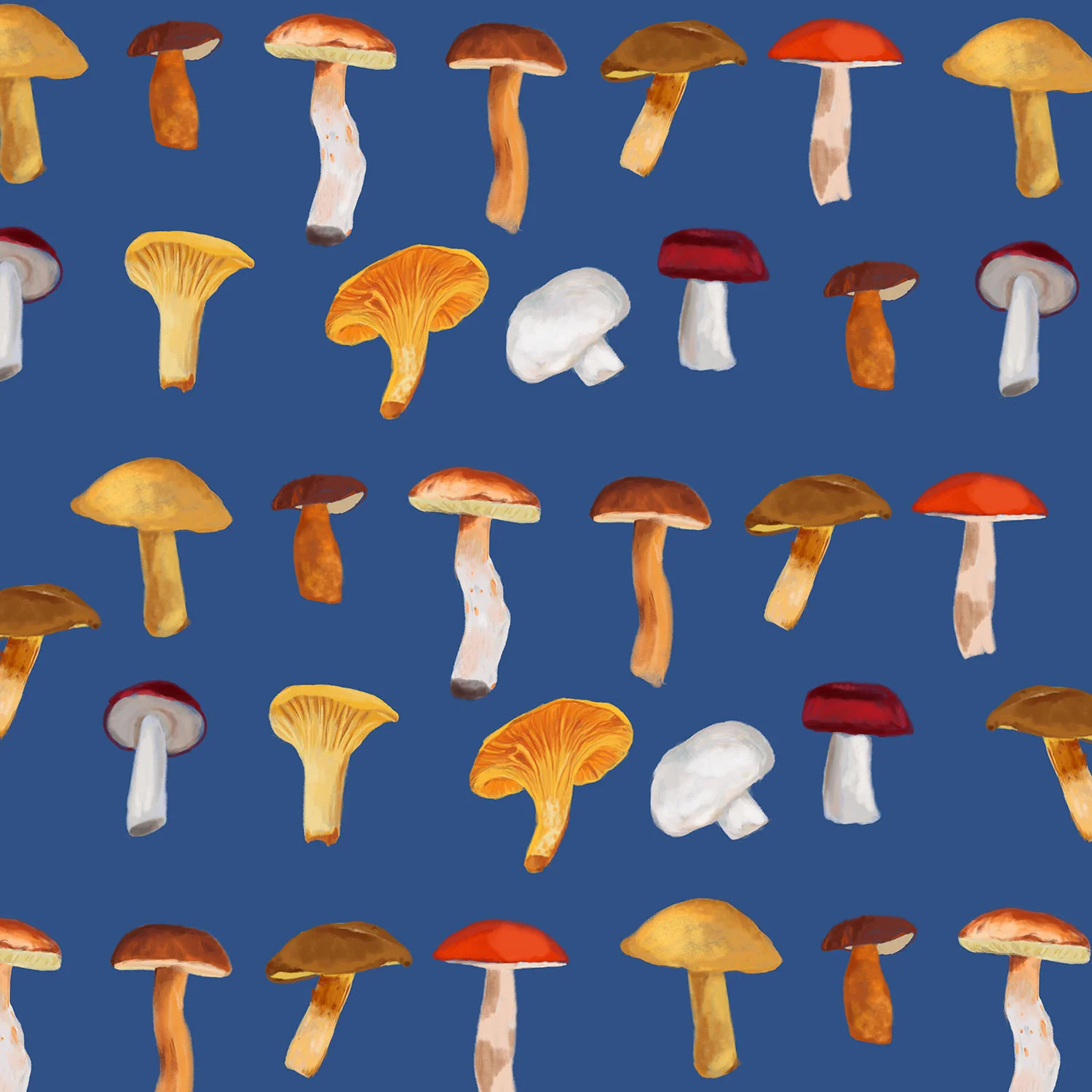 mushoroms_pattern_web_1500.jpg