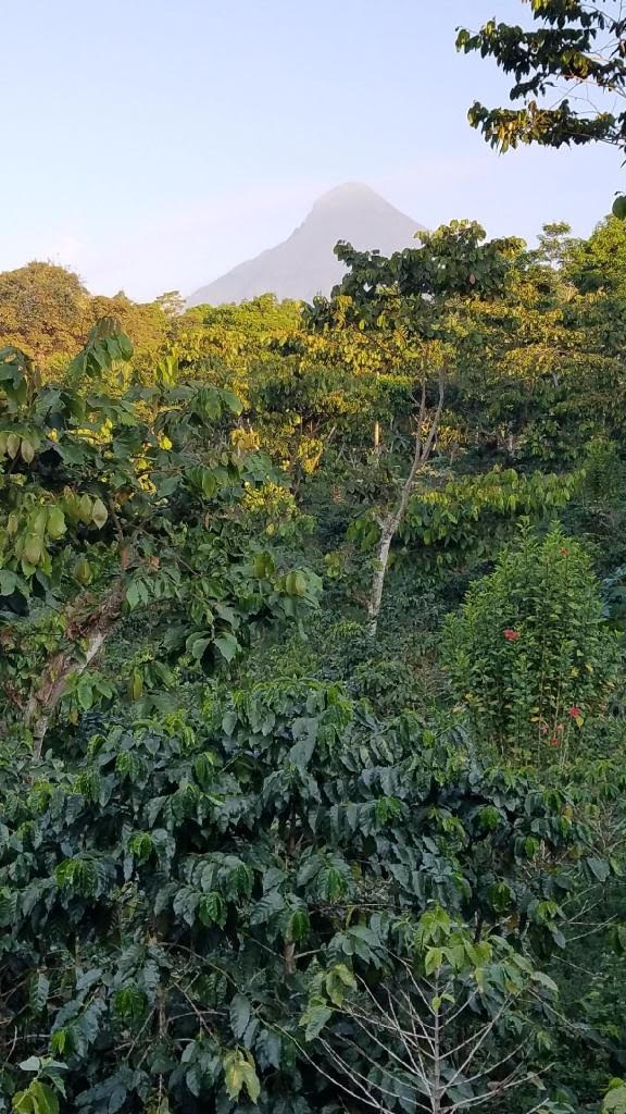 finca-la-esperanza.jpg