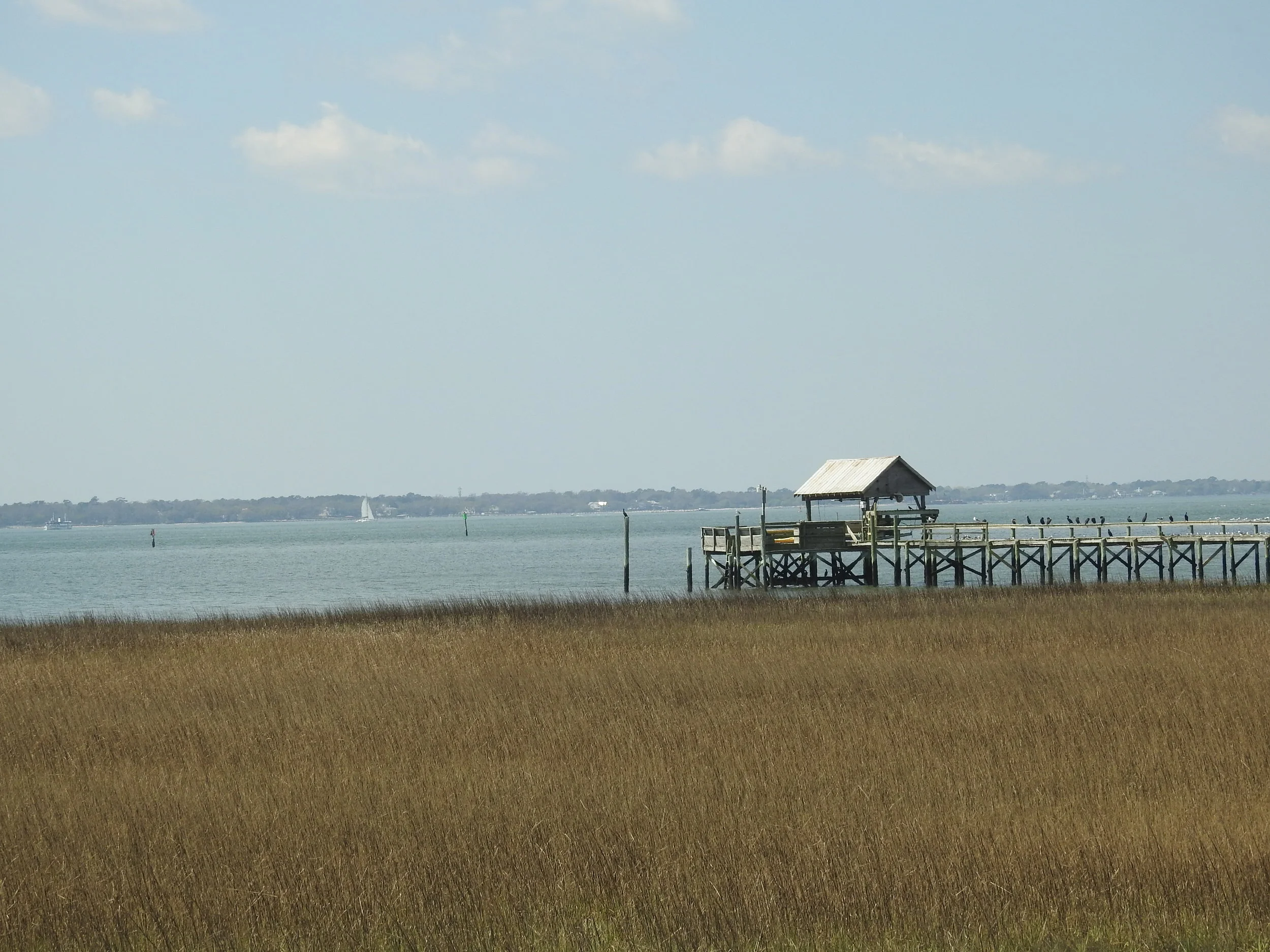 DSCN1471.JPG