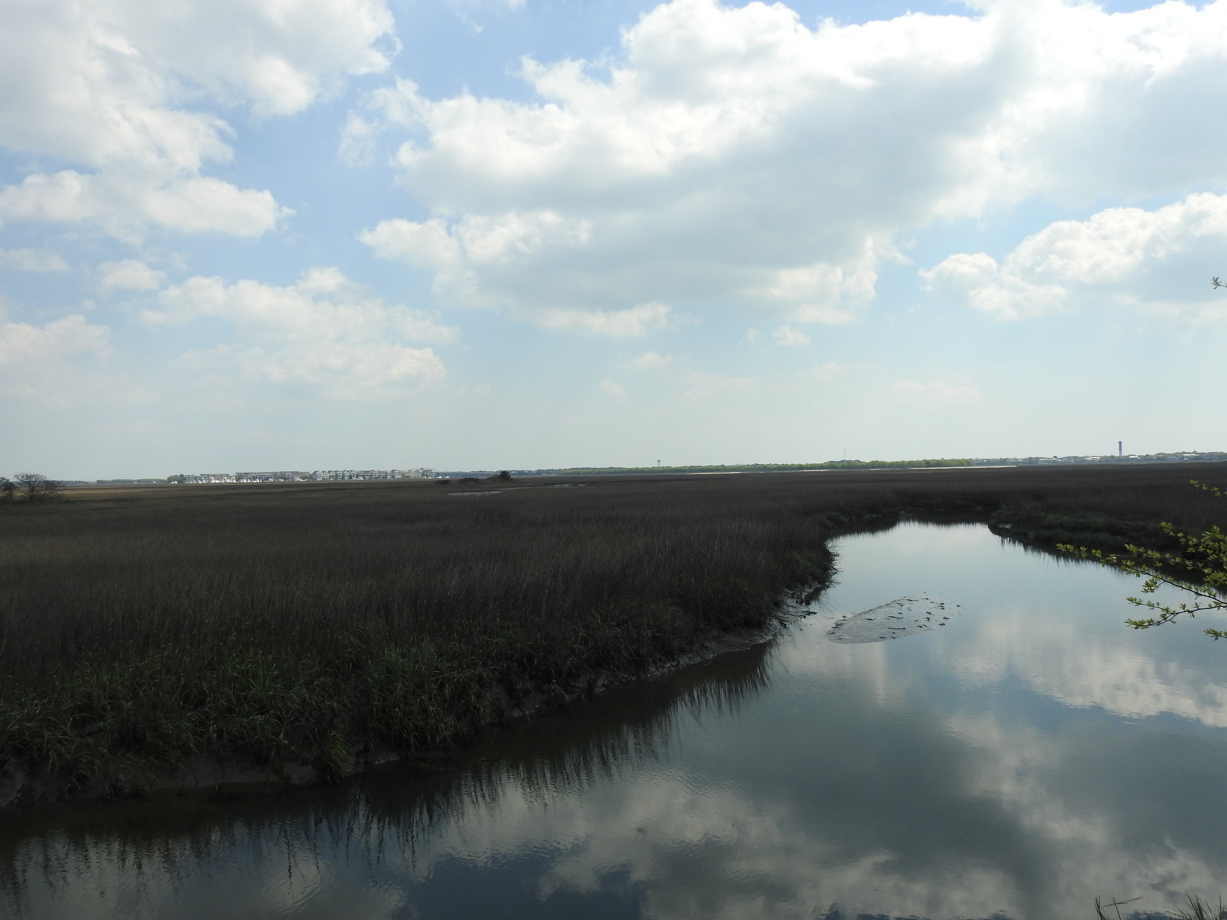 DSCN1542.JPG