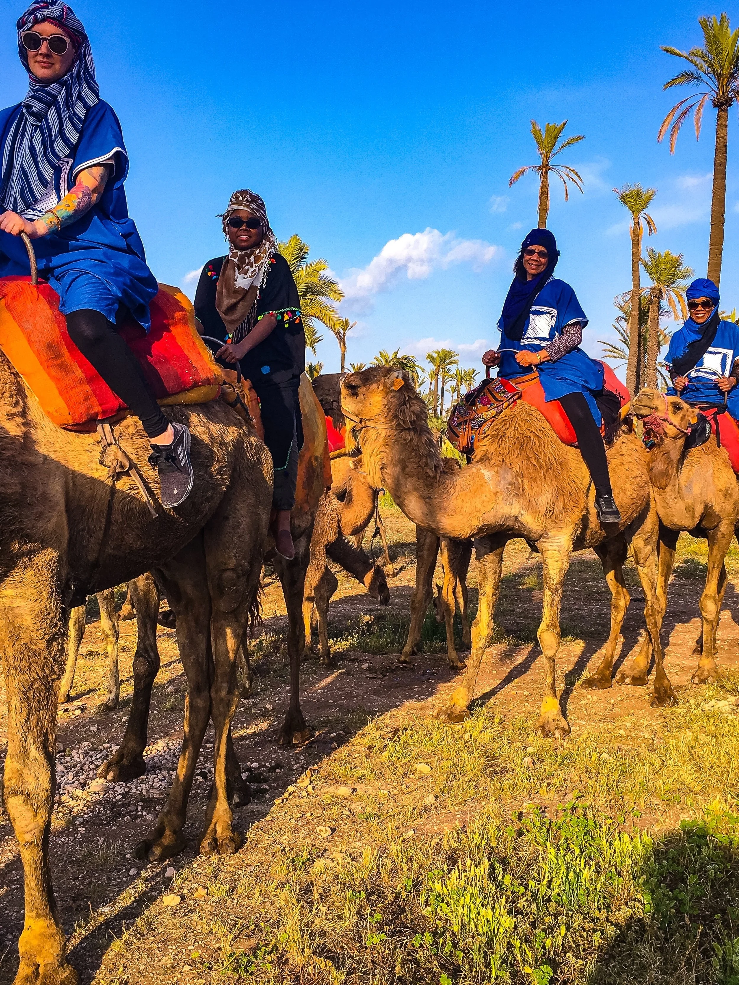 Camel 2018.jpeg