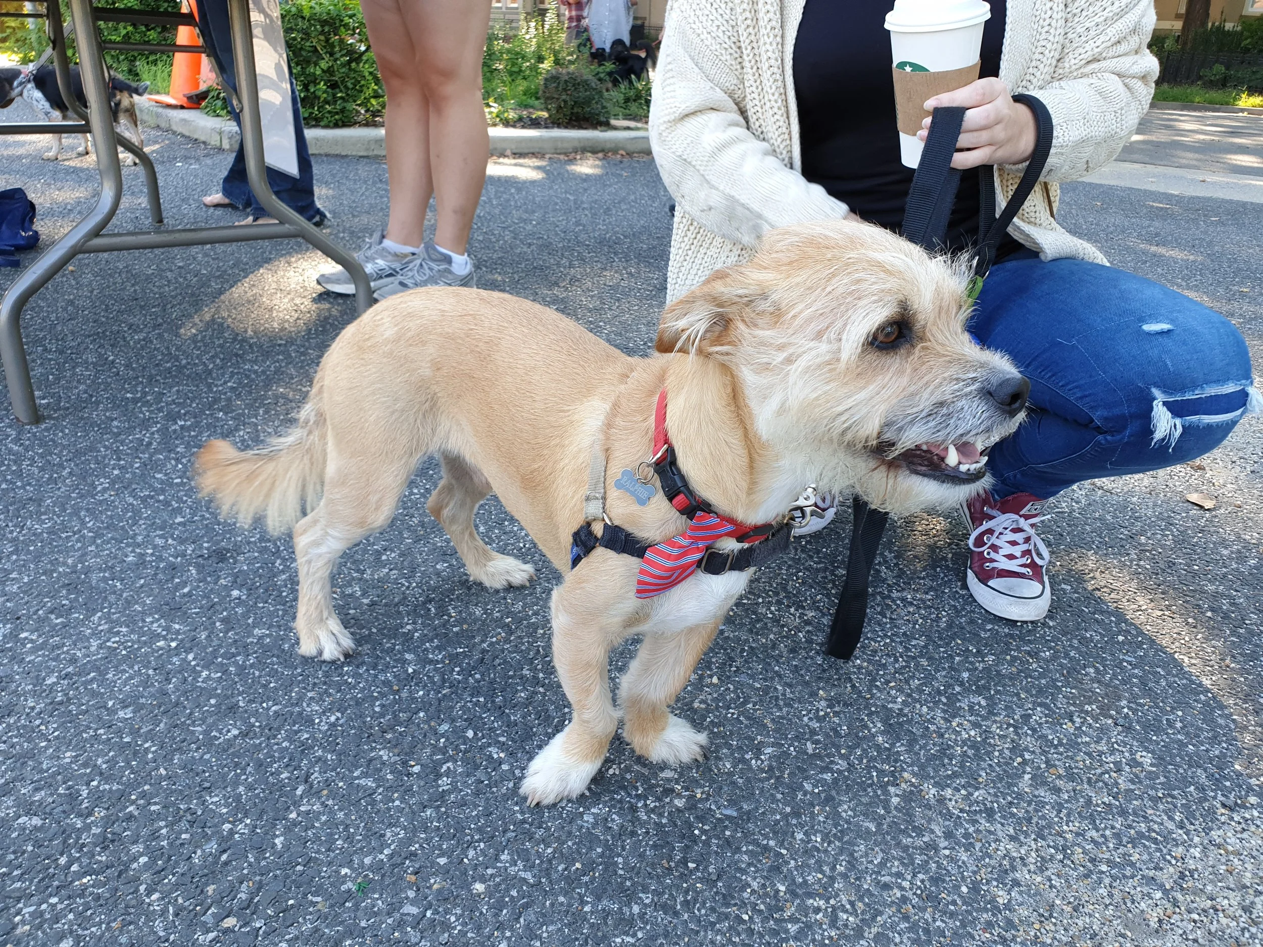 20180929_100649.jpg